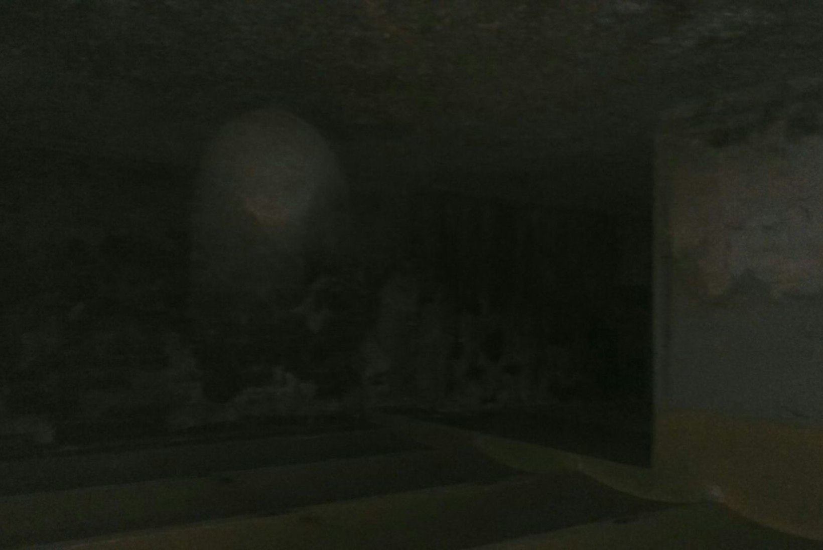 KUMMITUSFOTO | Eesti nõid pildistas vanas mõisakeldris kummitavat vaimu