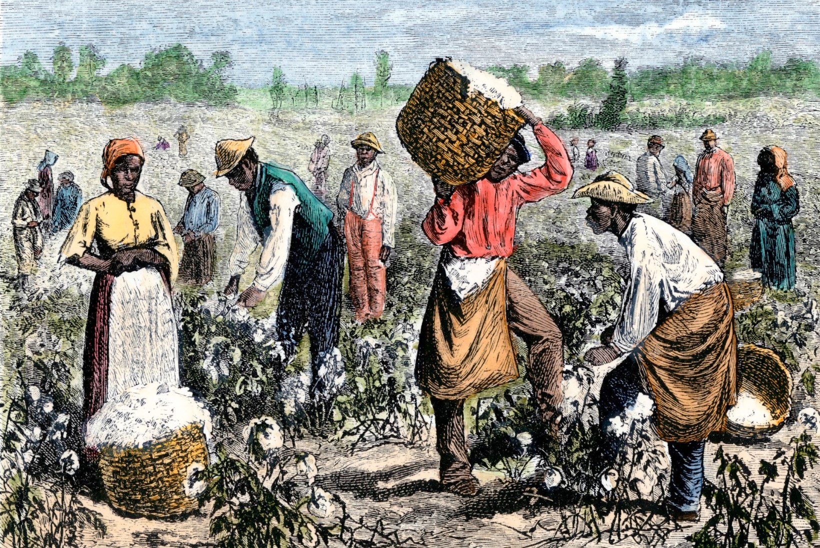 История чернокожих. Хлопковая плантация США 19 век. Хлопковые плантации в Индии 19 века. Плантации хлопка в США 19 век. Рабы на плантациях США 19 век.