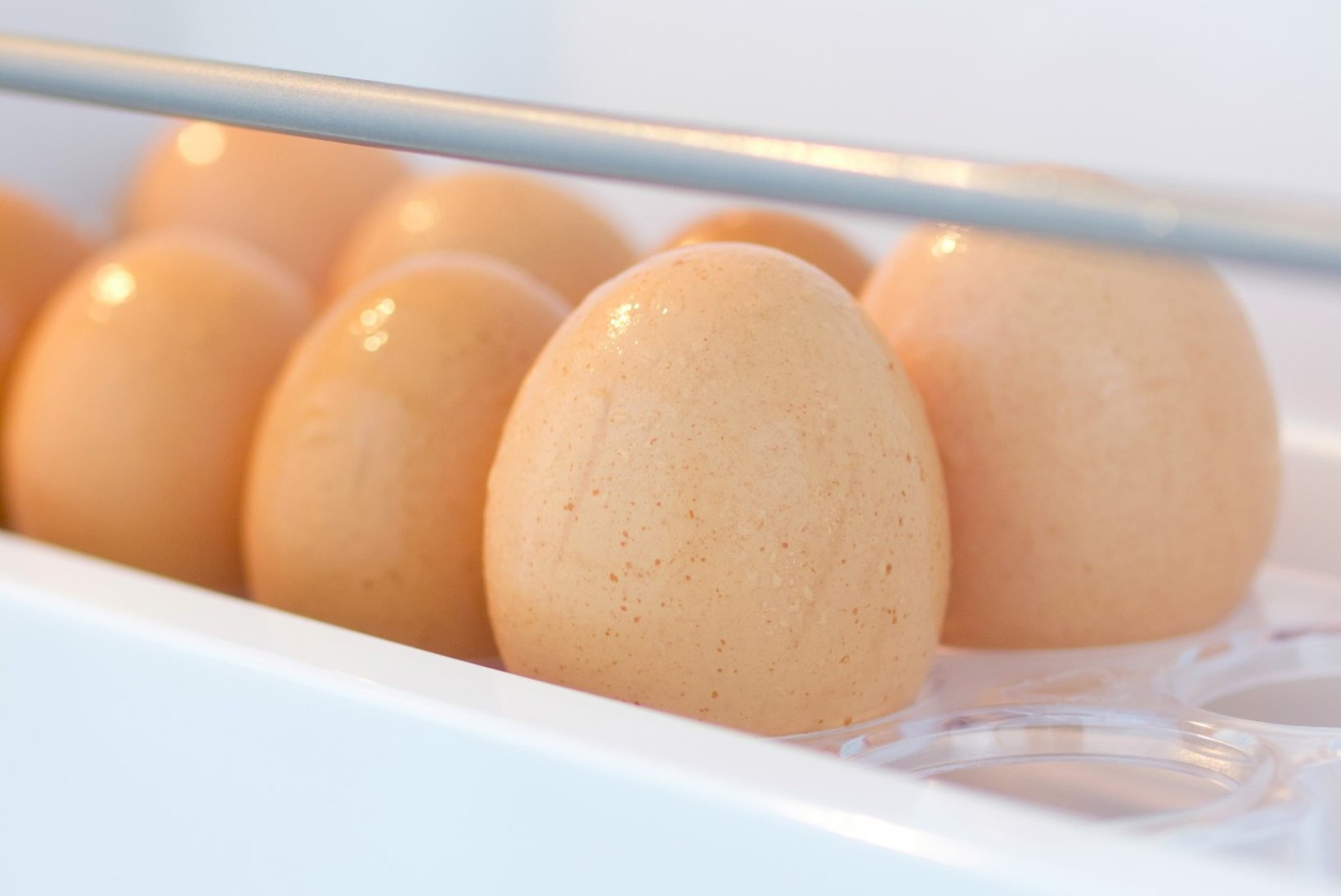 OHTLIK HARJUMUS: ära säilita mune külmkapi munarestis!