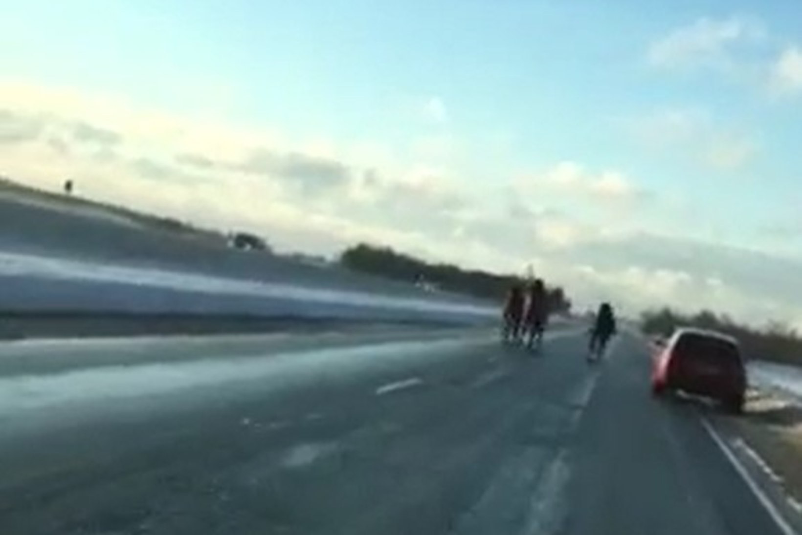 VIDEOD | Peterburi maanteel jooksis lahtiselt kari hobuseid