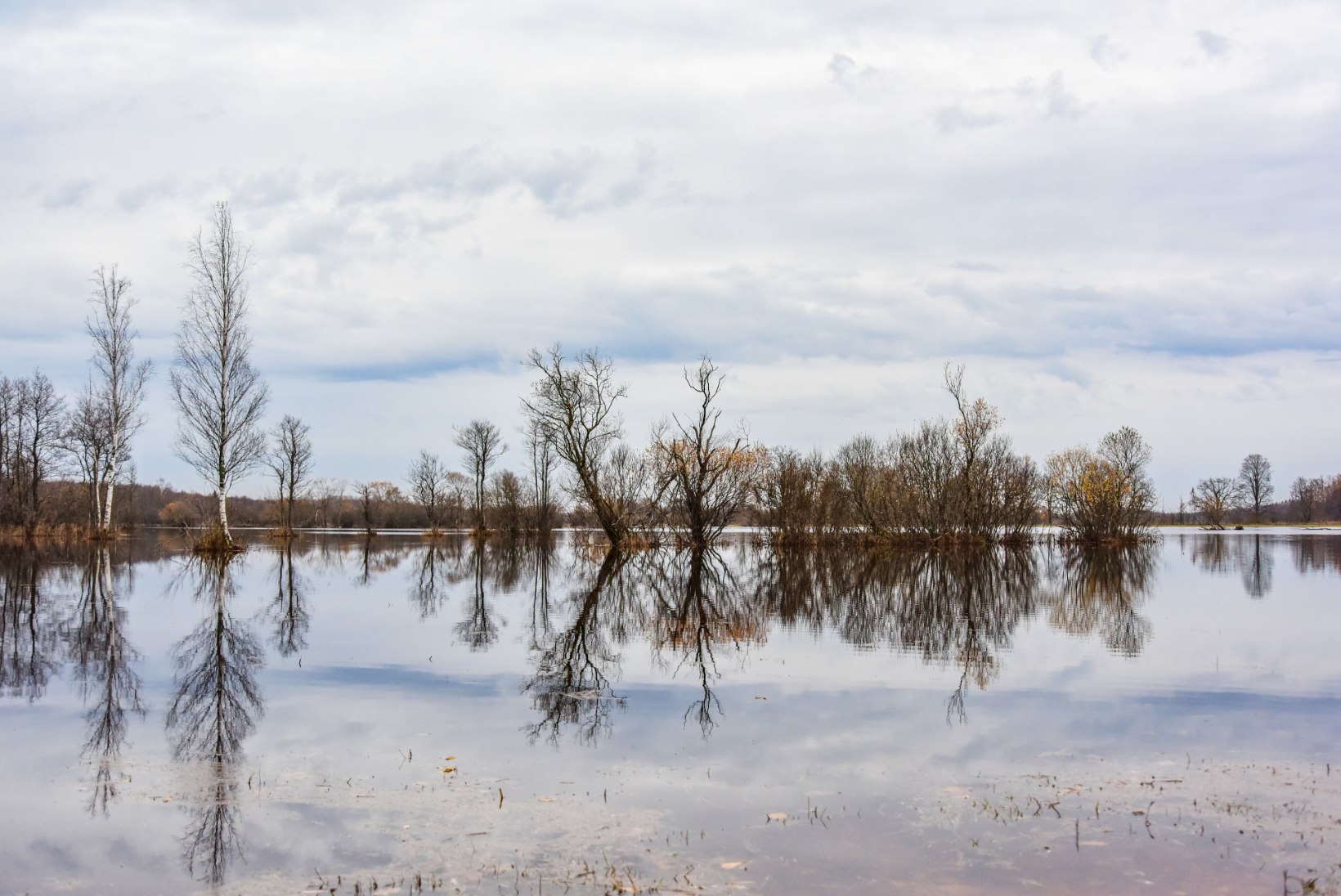 FOTOD | Soomaa viies aastaaeg algas üleujutusega