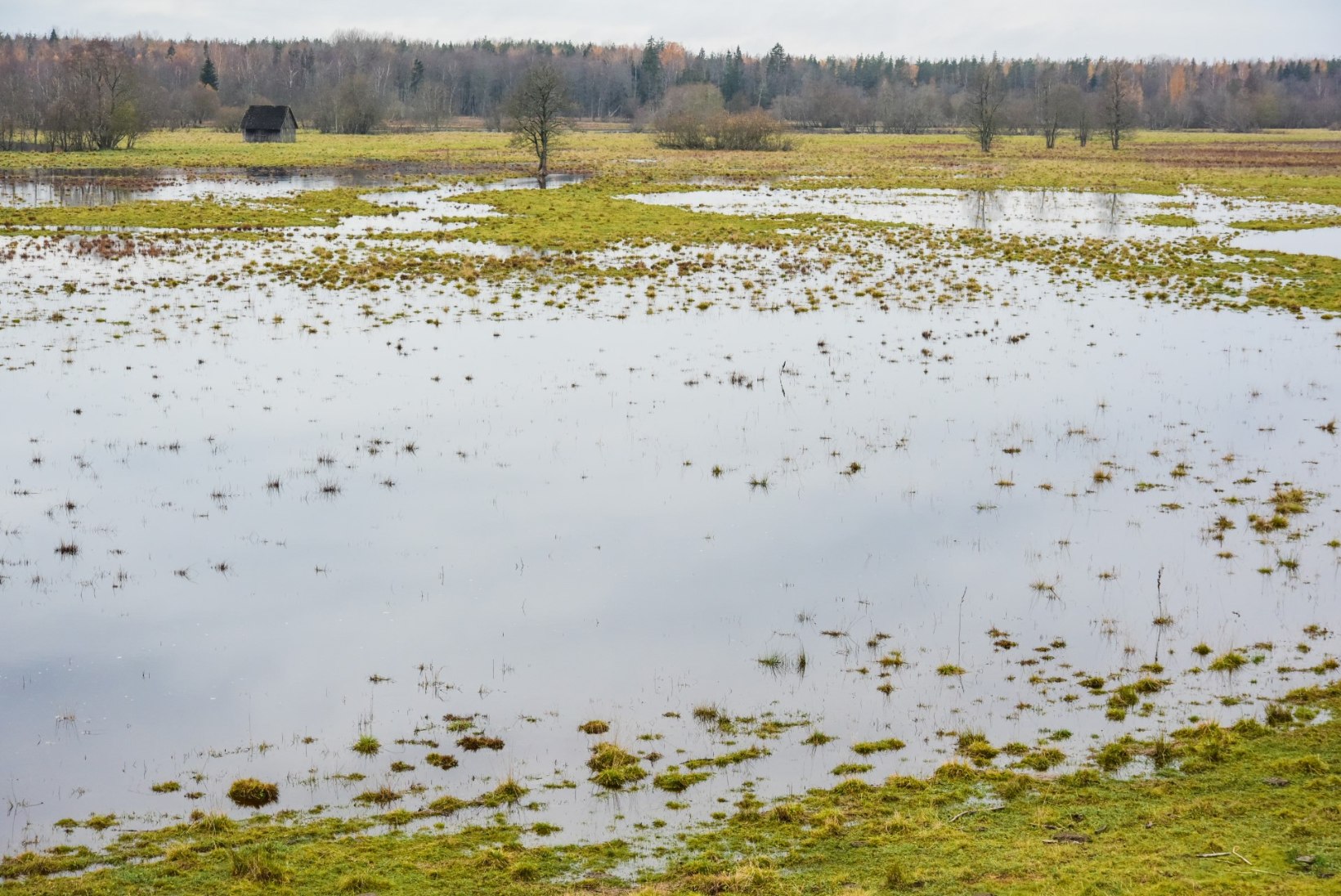 FOTOD | Soomaa viies aastaaeg algas üleujutusega