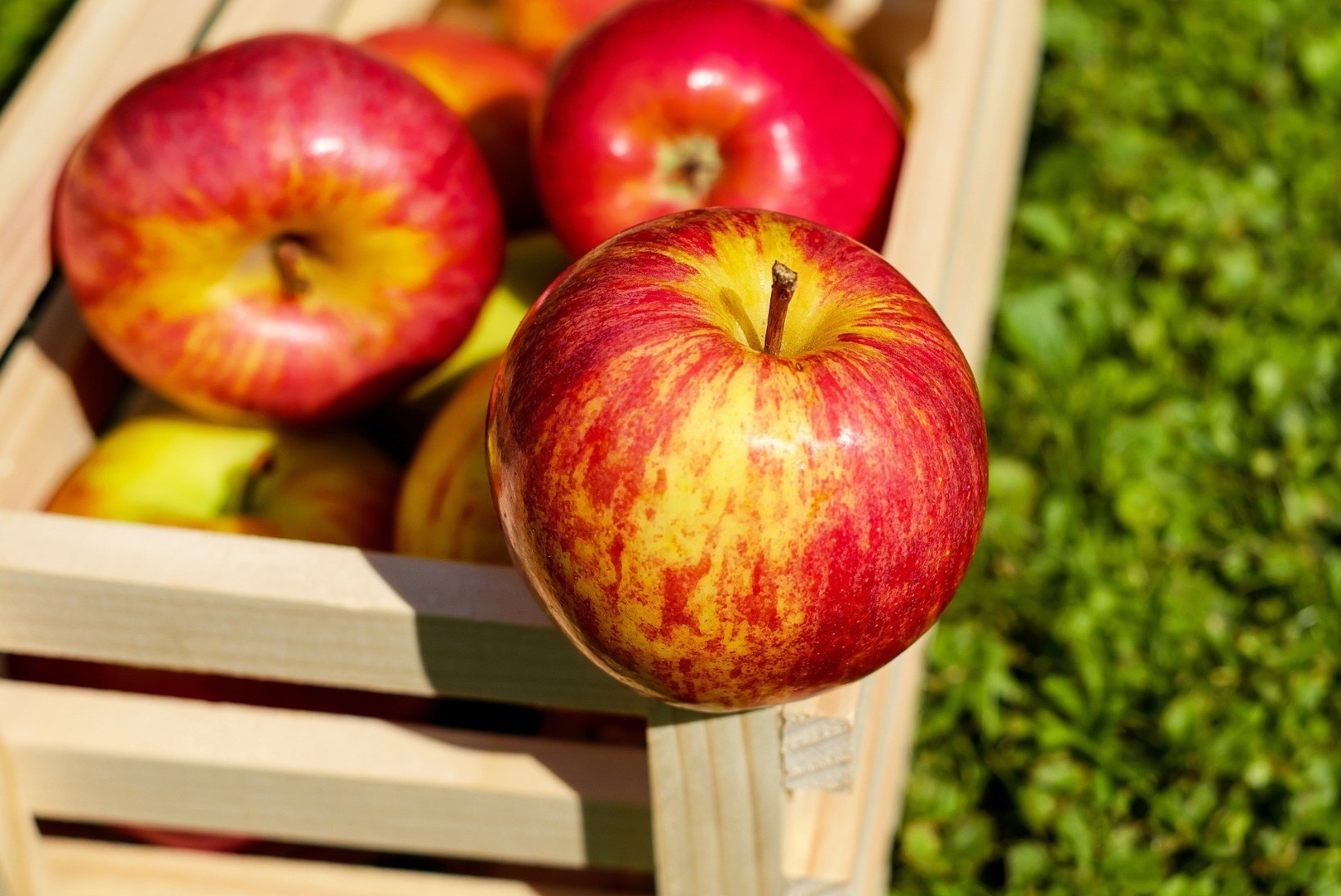 SÖÖ IGA PÄEV ÜKS VÕI ROHKEMGI: õunad aitavad eemal hoida neid haigusi! 