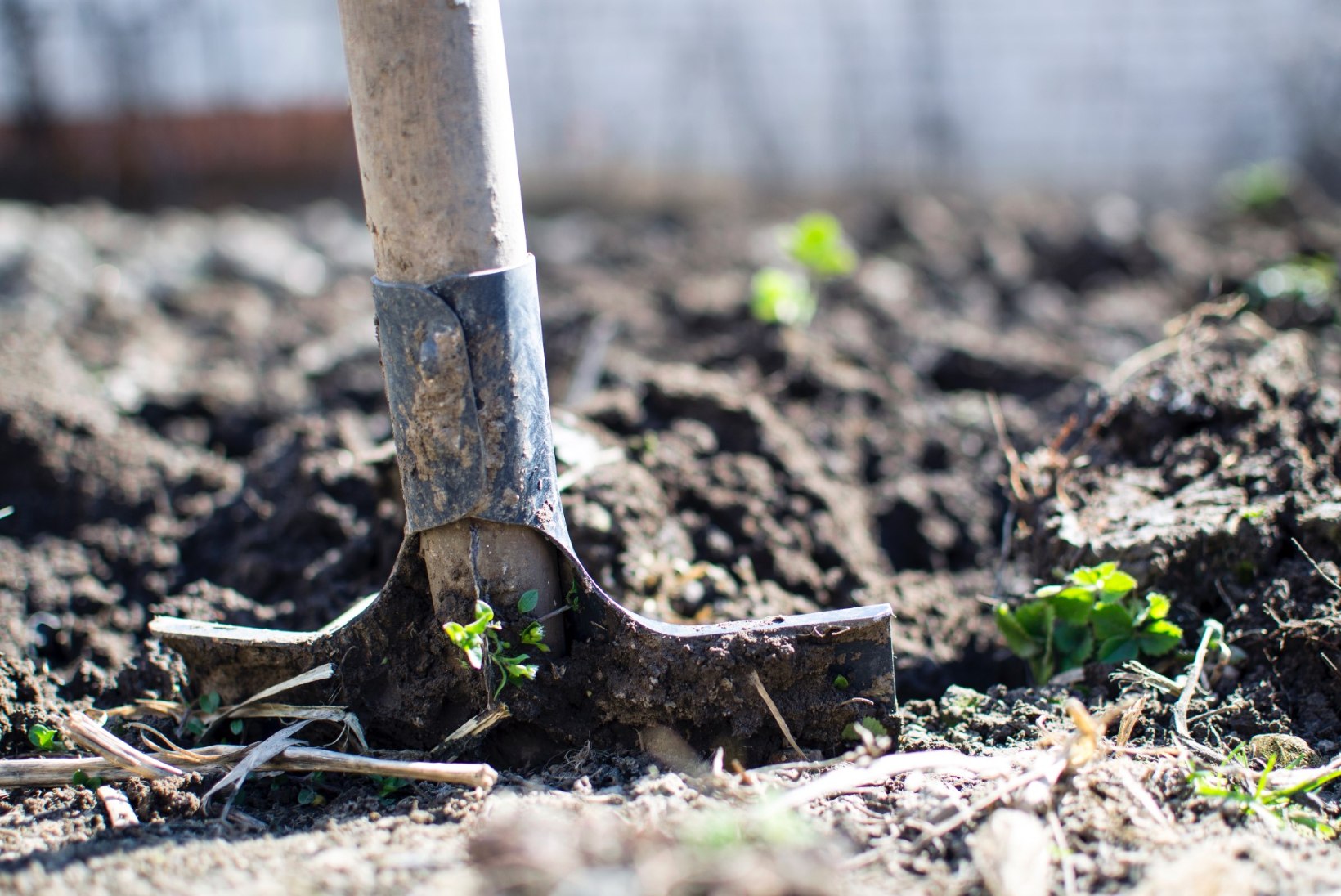 Saada aiatööriistad talvepuhkusele: millist hooldust need enne seda vajavad?