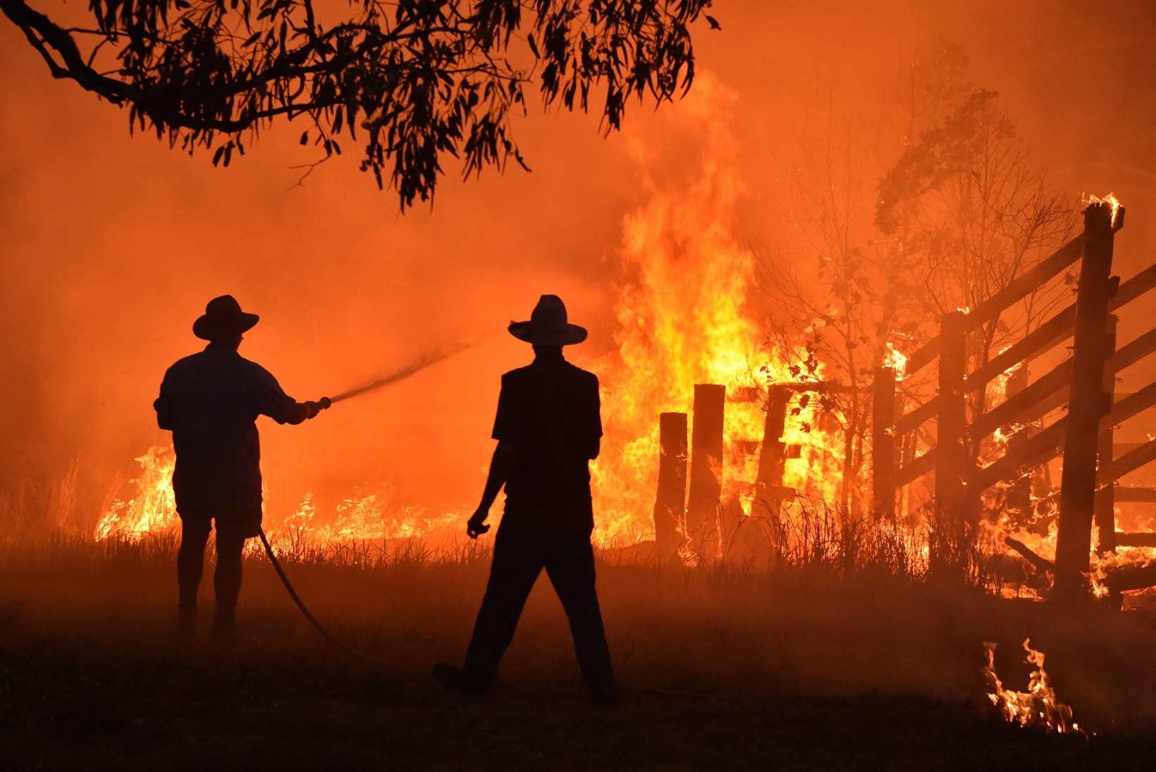 ÕILIS ŽEST! Ott Tänak tegi Austraalia metsapõlengutega võitlevatele tuletõrjujatele annetuse