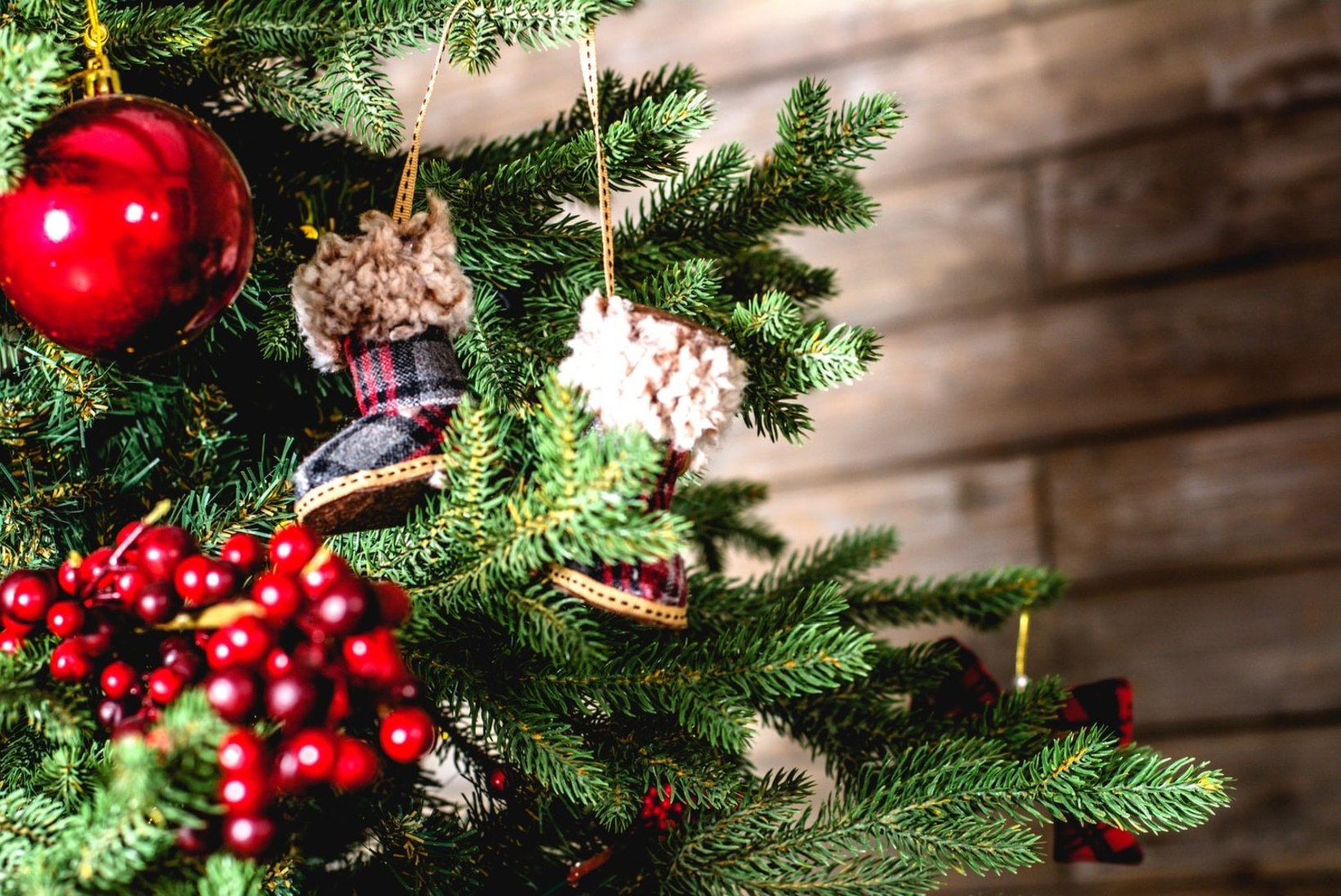 TASUB TEADA: nii püsib sinu jõulupuu kaunis ega aja okkaid!