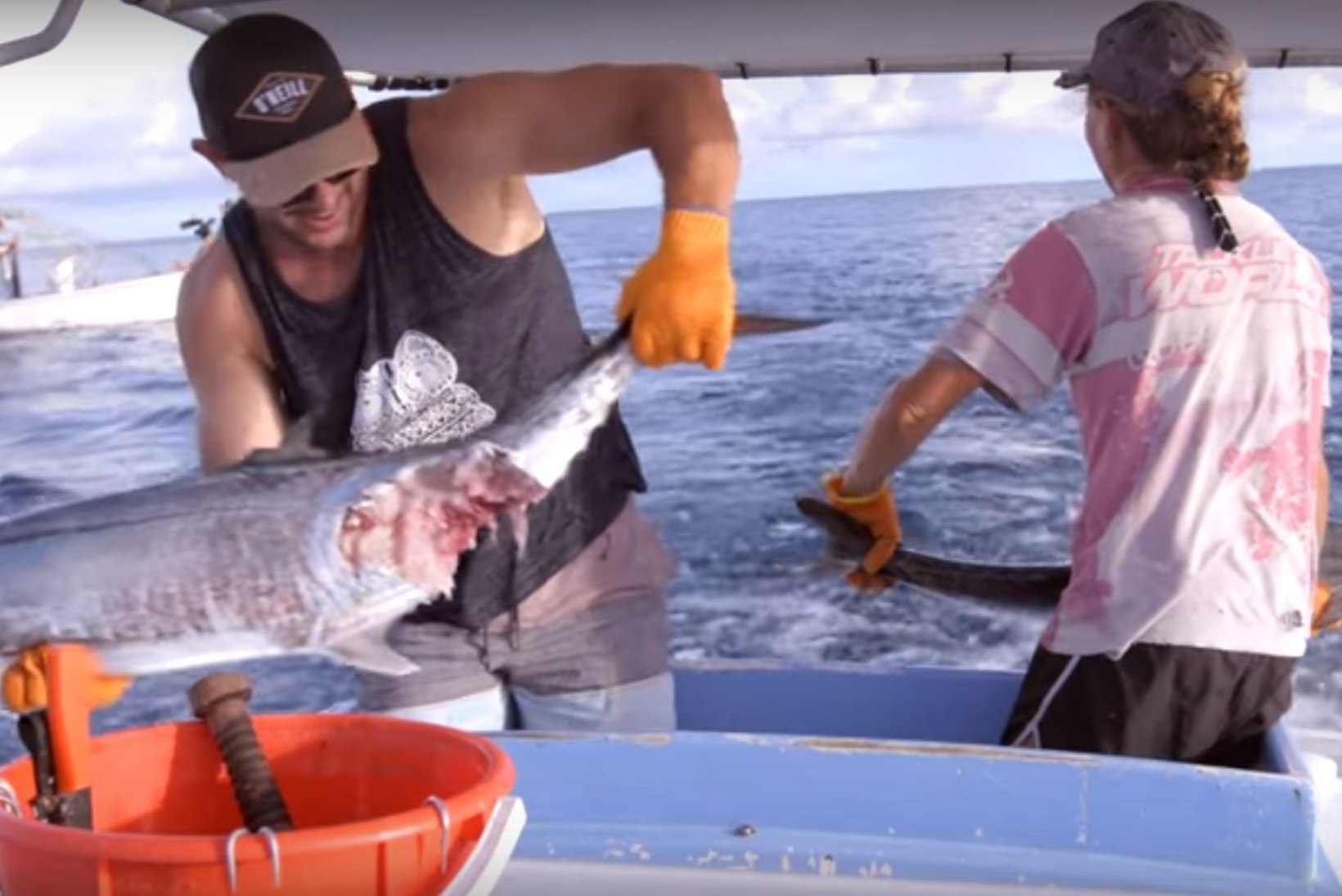 VIDEO | Austraalia kalurite ränk argipäev: võitlus haide ja mürgimeduusidega, haiglani 700 kilomeetrit
