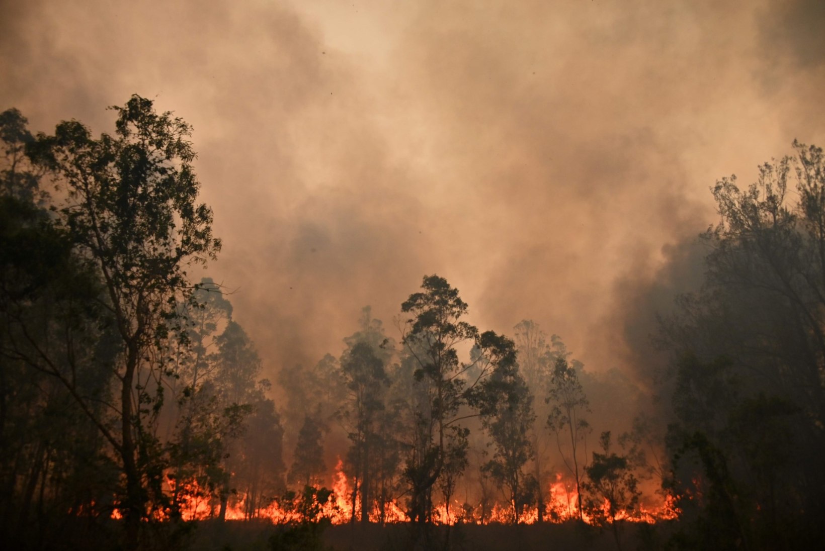 VIDEO | Ulatuslikud metsapõlengud ähvardavad Austraalia ralli vaid kahepäevaseks muuta