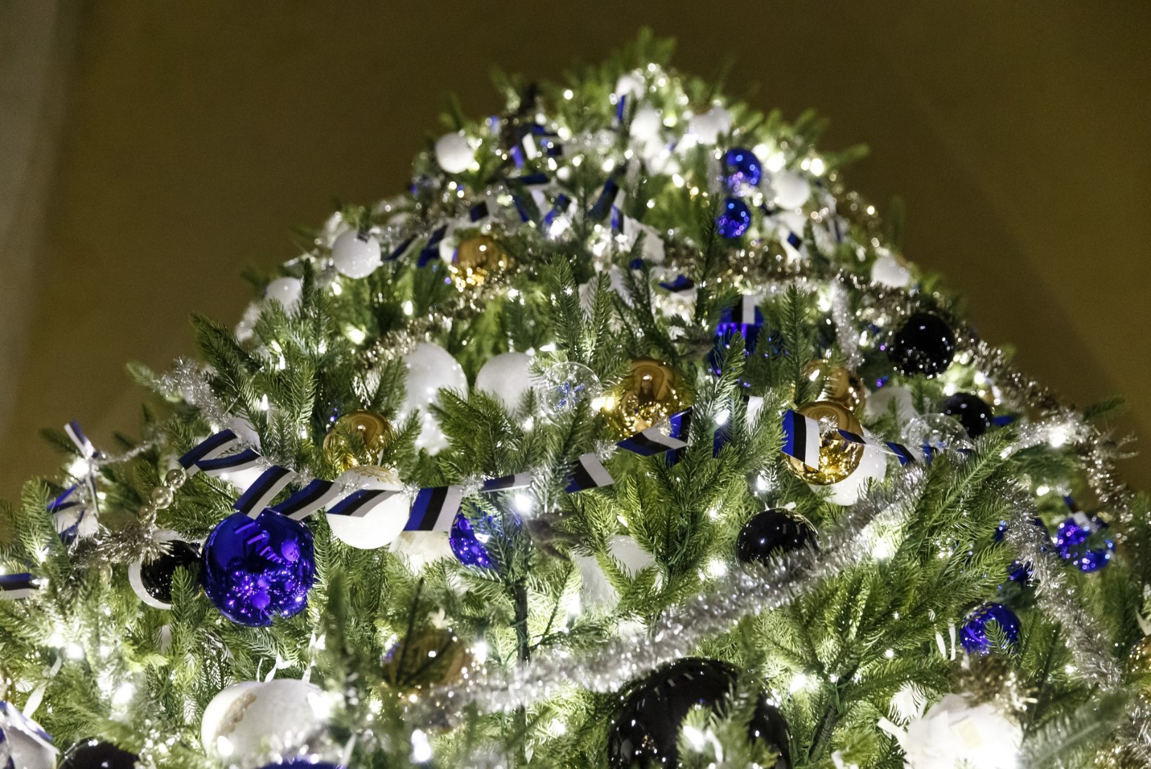 Päris puu või kunstkuusk: kumma eestlased jõuluks koju toovad?