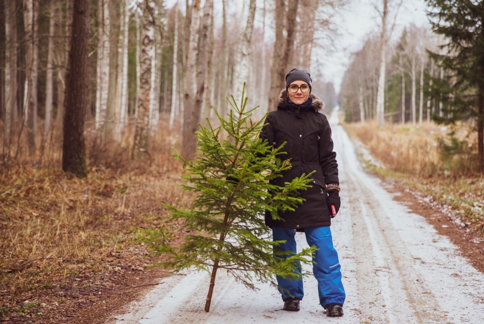 VIDEO | Jõulupuu koju ehk Kuidas RMK mobiilirakenduse abil metsast kuuske tuua?