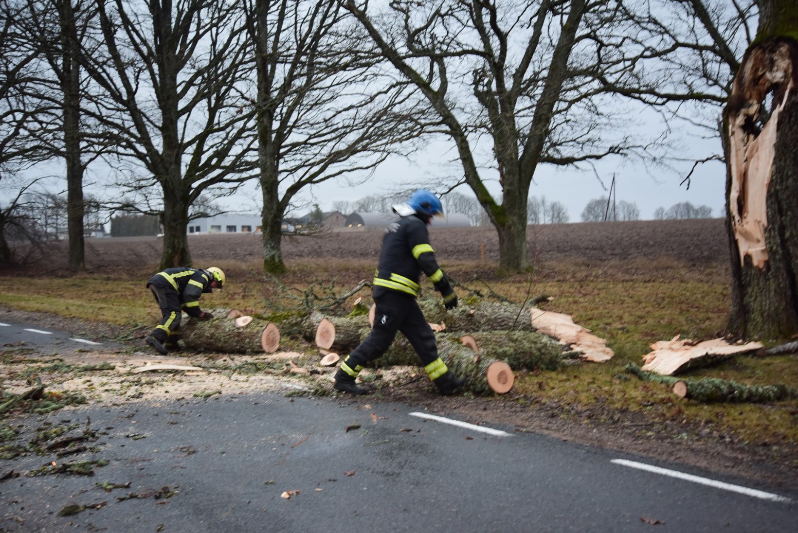 FOTOD ja BLOGI | Detsembritorm liikus üle Eesti: kaks last jäid murdunud puu alla, hommikul on vooluta ligi 18 500 majapidamist