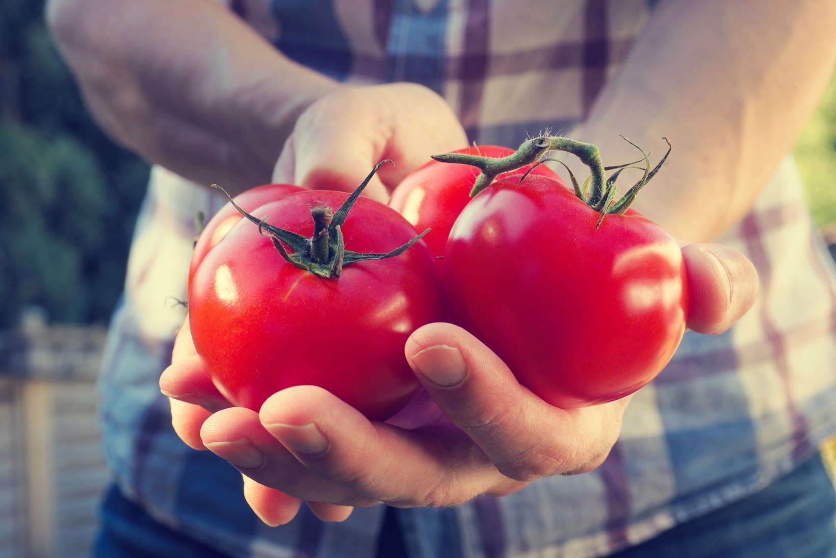 NII HOIAD EESNÄÄRMEVÄHI EEMAL: söö tomatit, seksi ja käi kontrollis!