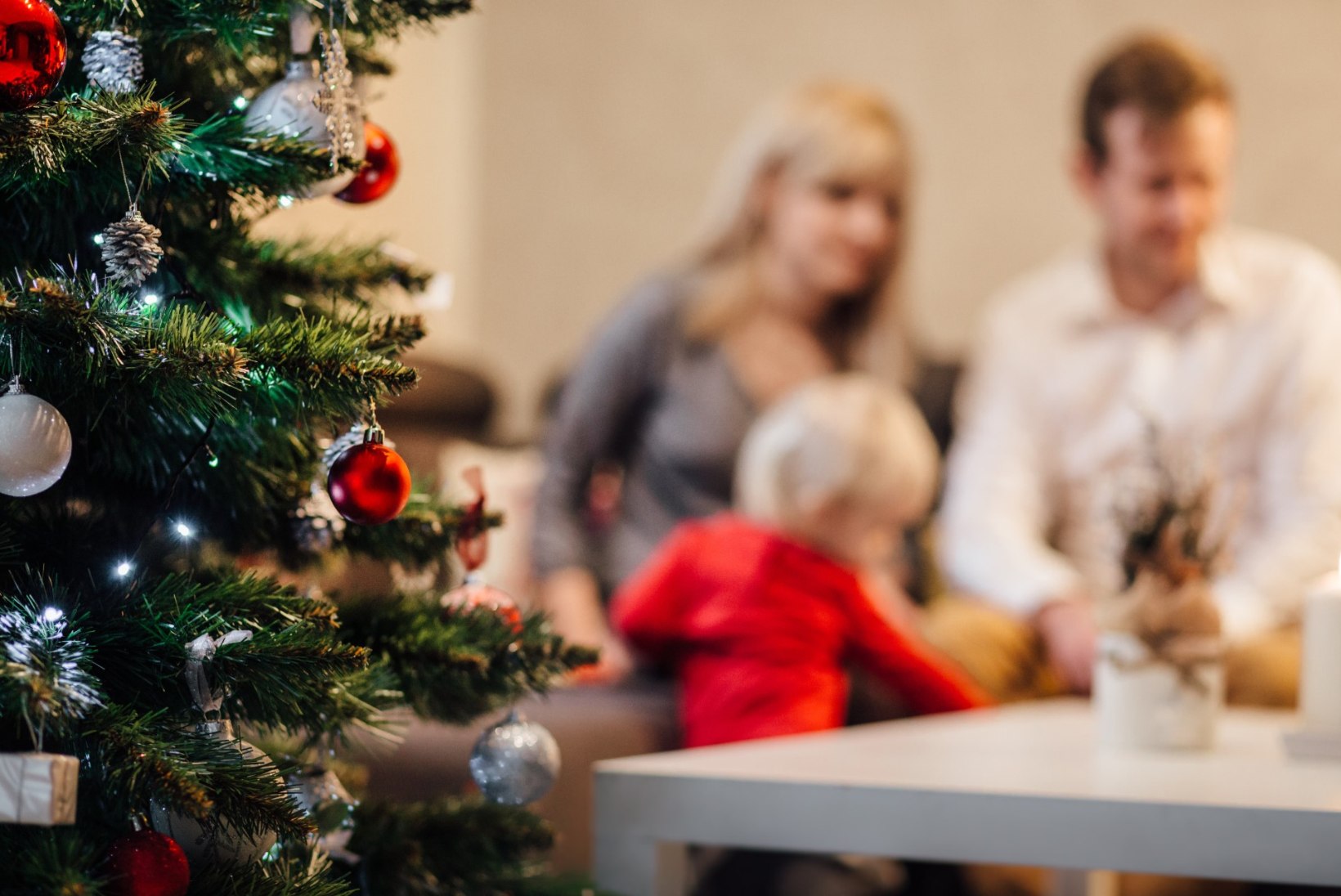Eesti inimesed arutlevad: milline puu jõuluks tuppa tuuakse?