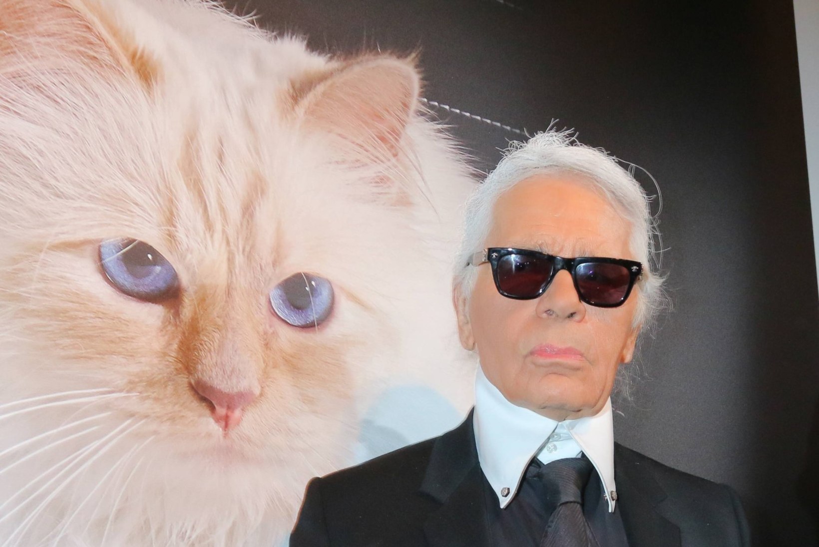 Põletavad küsimused: mis saab Karl Lagerfeldi kuulsast kassist ja kes pärib hiigelvaranduse?