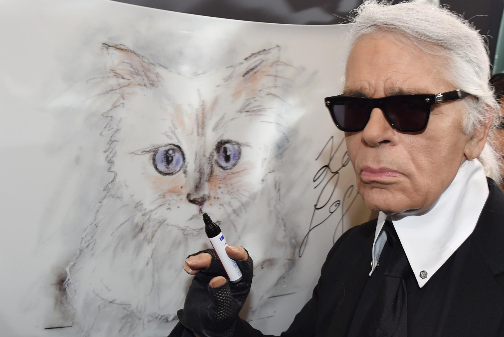 KURB FOTO | Karl Lagerfeldi kurikuulus kass leinab oma omanikku
