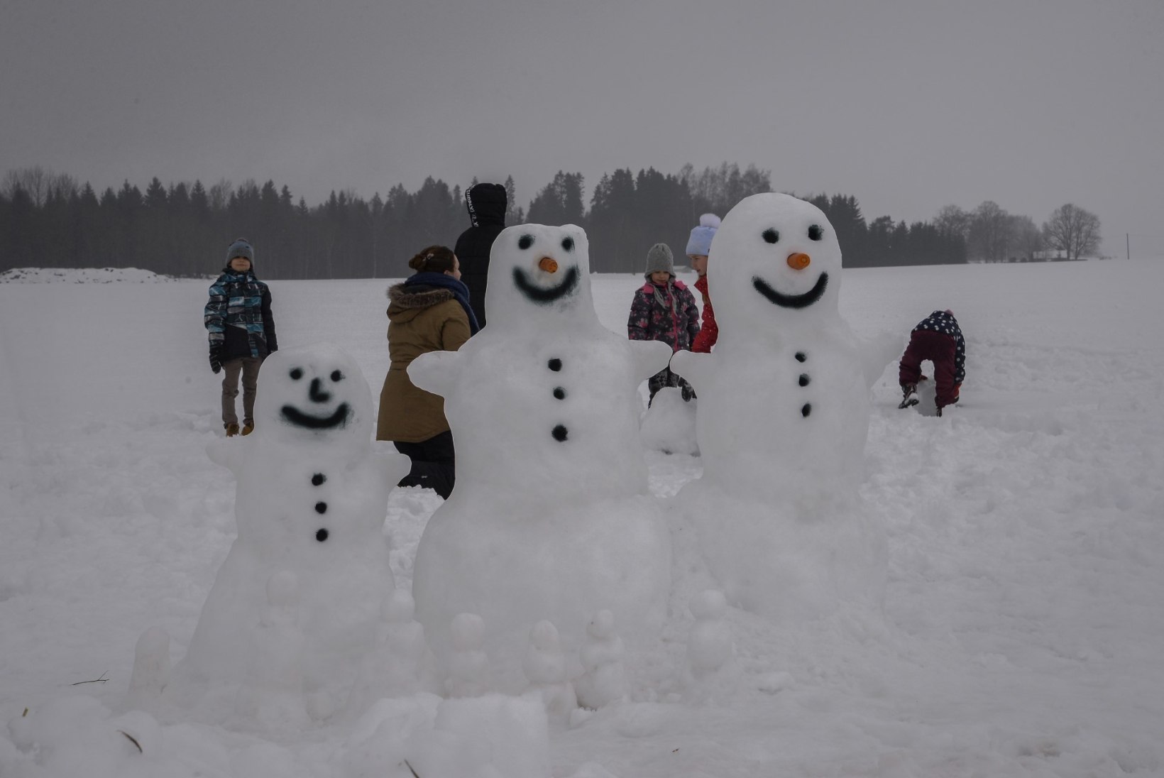GALERII JA VIDEO | UHKE PARAAD: Väätsal püüti teha lumememmede maailmarekordit!