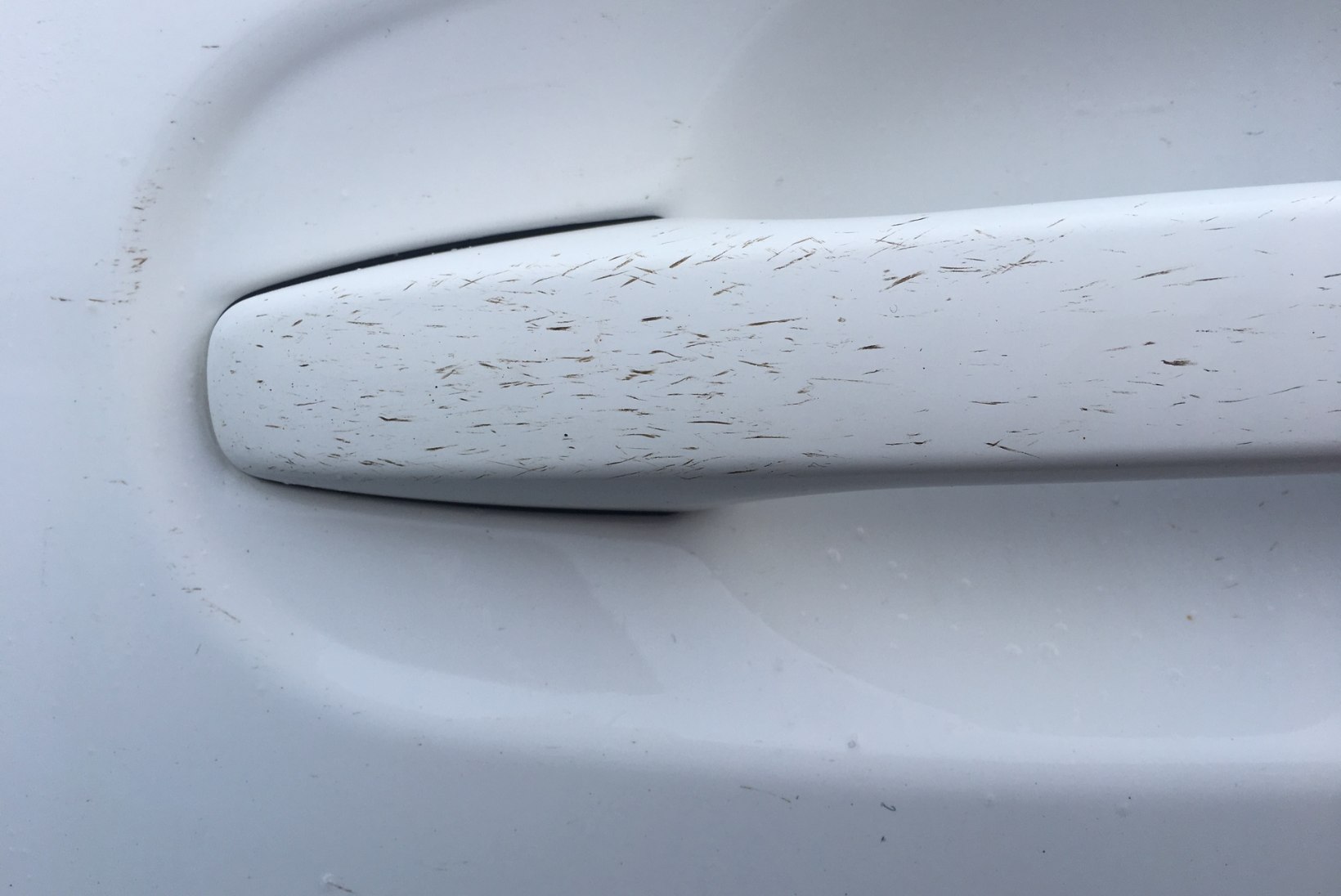Nördinud klient: „Pesula määris mu valge auto ära!“