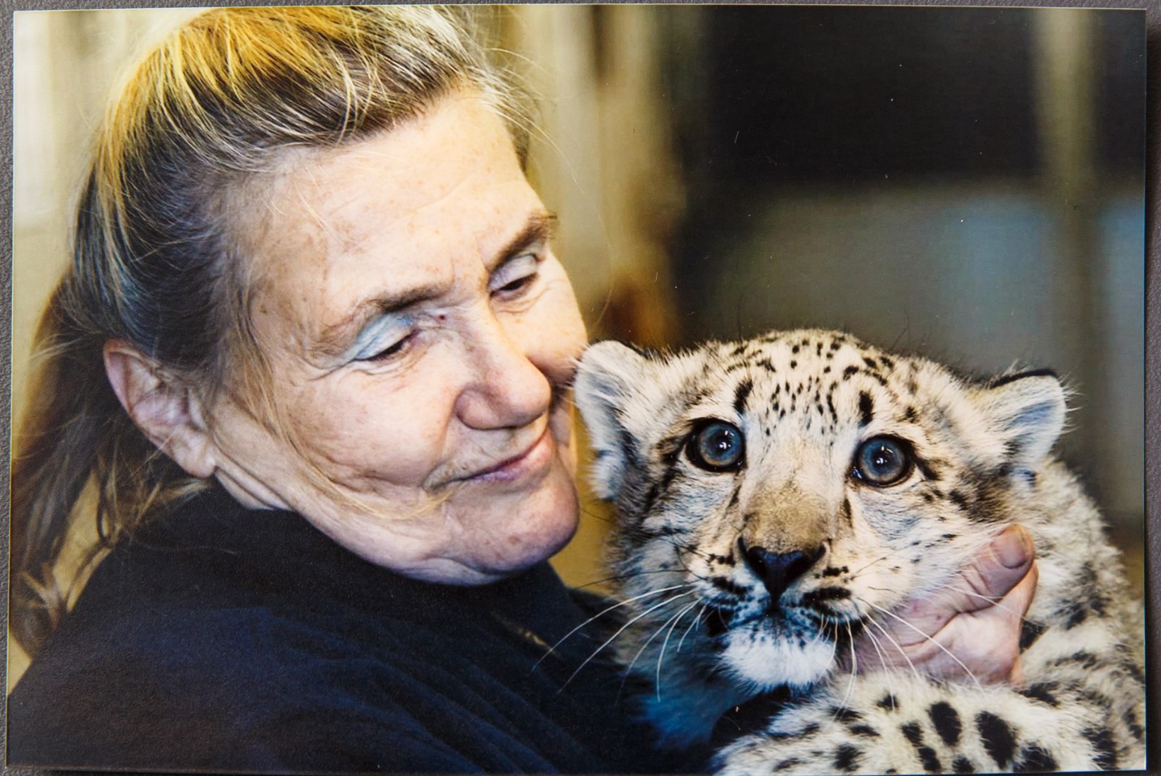 TEENETEMÄRK 2023 | Loomaaia staažikaim töötaja Anne Saluneem: „Olen tänu loomadele kergemini kurbusest üle saanud.“