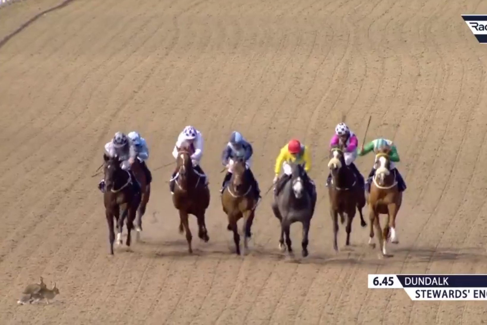 VIDEO | Hobuste võidusõitu vürtsitas keset teed seksiv paarike