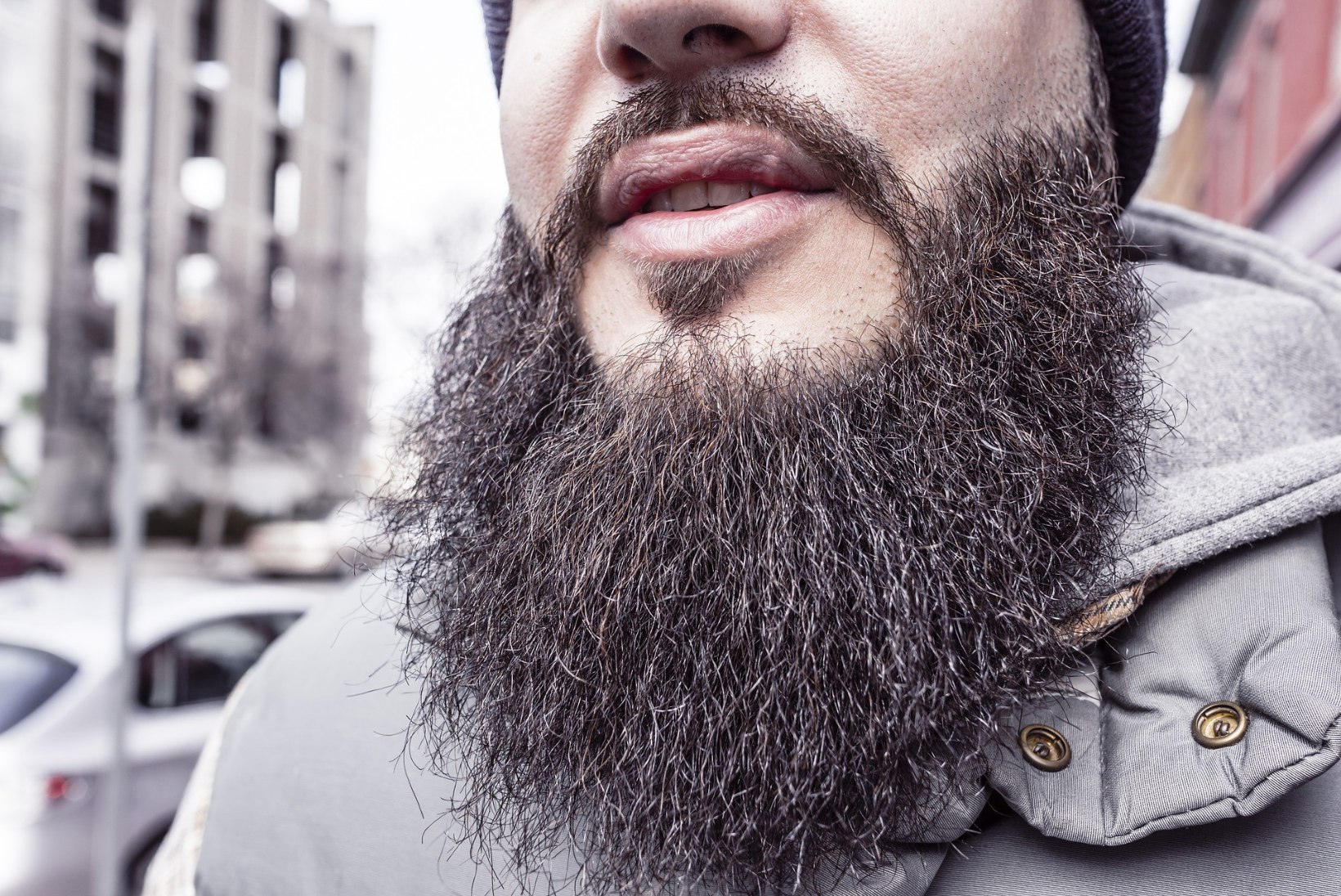 HALB UUDIS HIPSTERITELE: mehe habemes leidub rohkem baktereid kui koera karvades