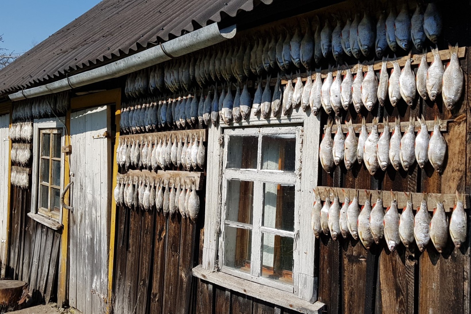 Pöline kaluritoit kuivatatud kalast. Lugu sellest, kuidas mulle Instagramis räägiti vanaema kuivakala-kastmest