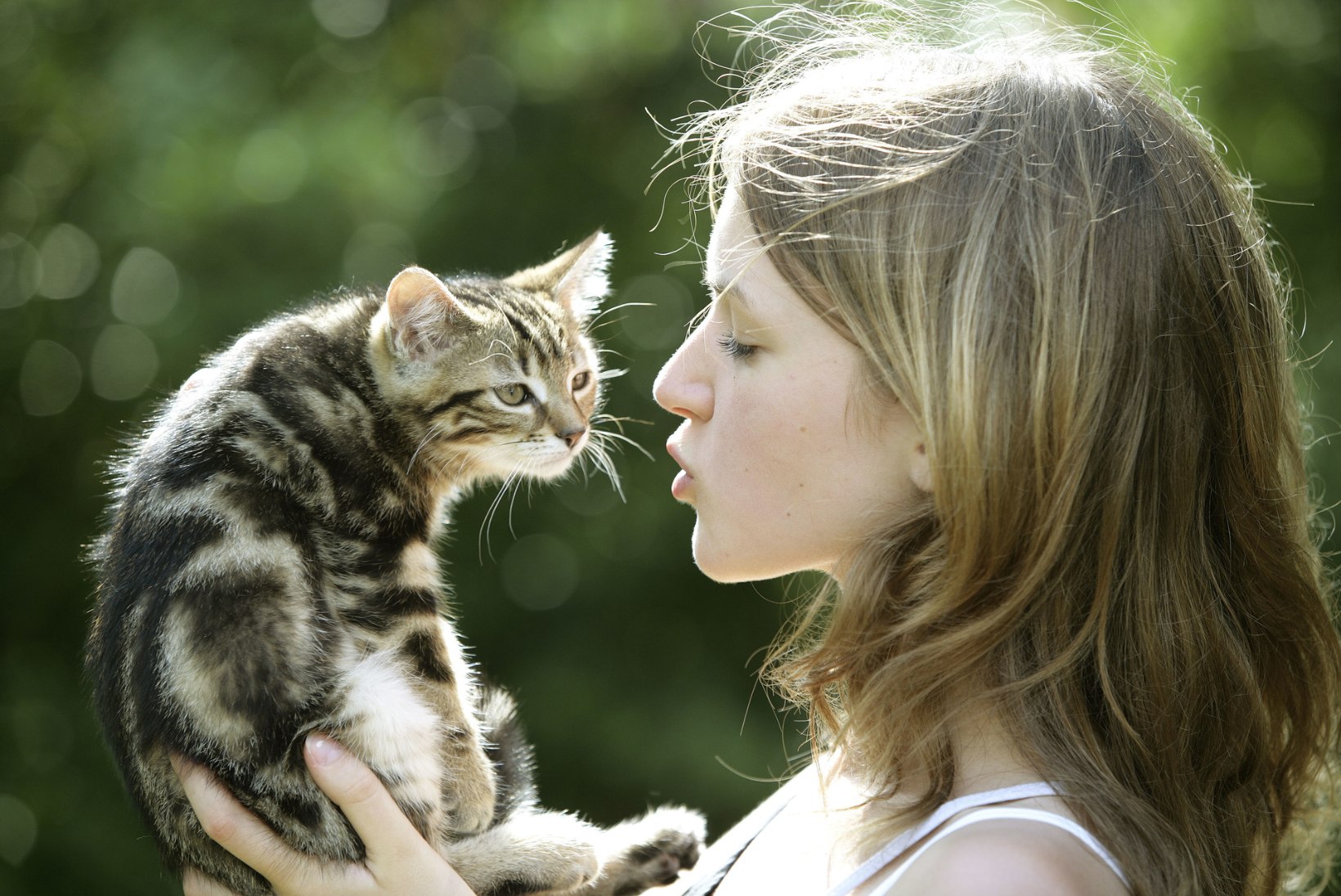 Teadlased: „Kass on rumal ja isekas? Vale puha!“