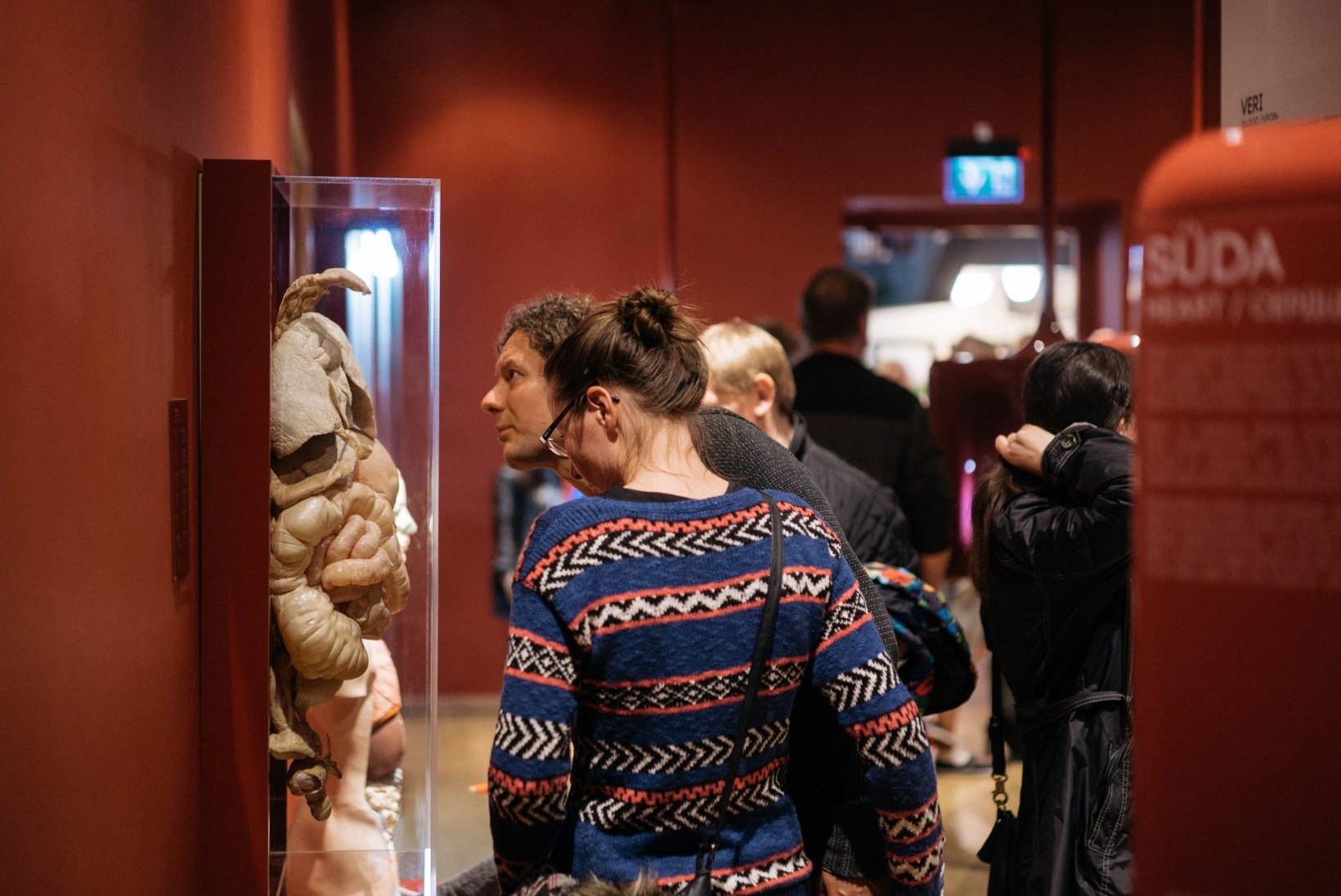 Muuseumiööl avavad tasuta oma uksed 214 paika üle terve Eesti