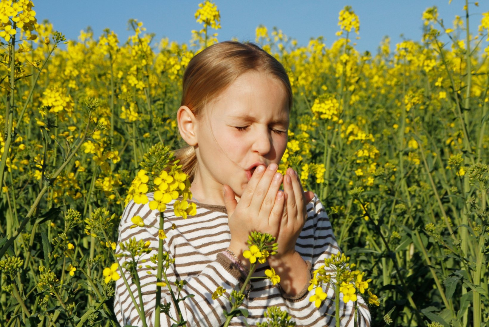 ILUS KEVAD ON TÕELINE PIIN: perearst soovitab, kuidas allergia kontrolli alla saada