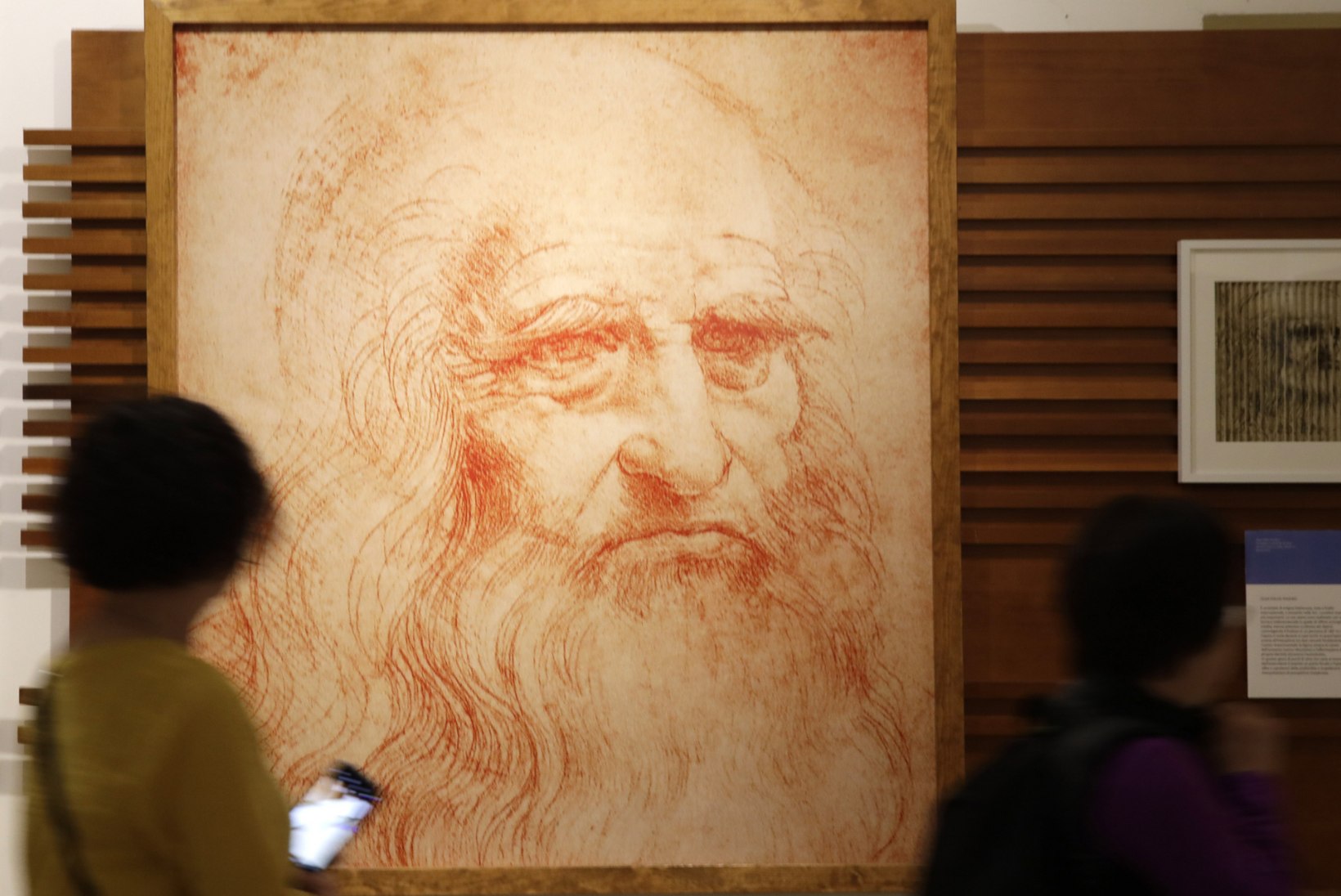 Ajuekspert: da Vincil oli ilmselt aktiivsus- ja tähelepanuhäire