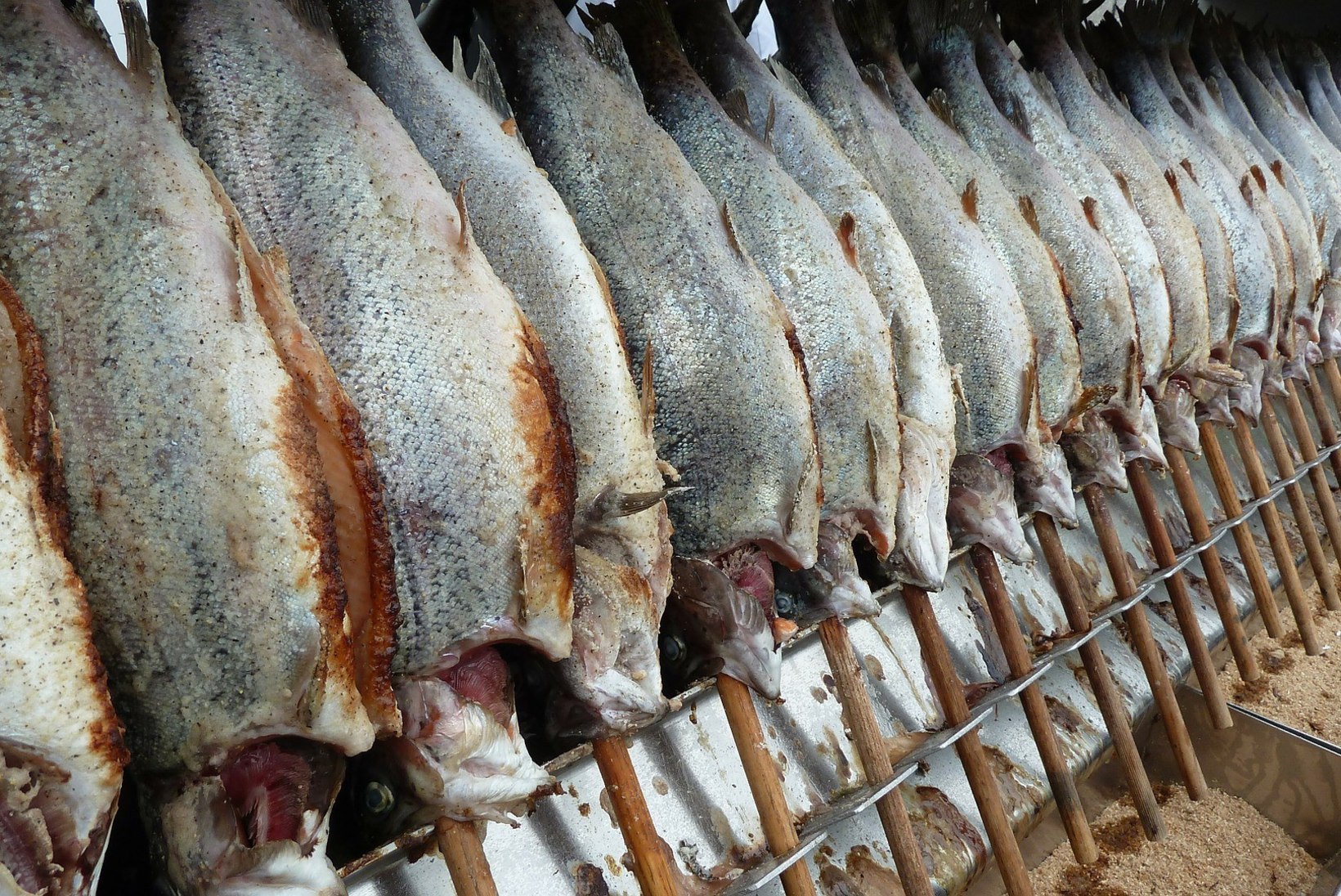 Raport: Põhjamere tursavarud on langenud kriitilisele tasemele