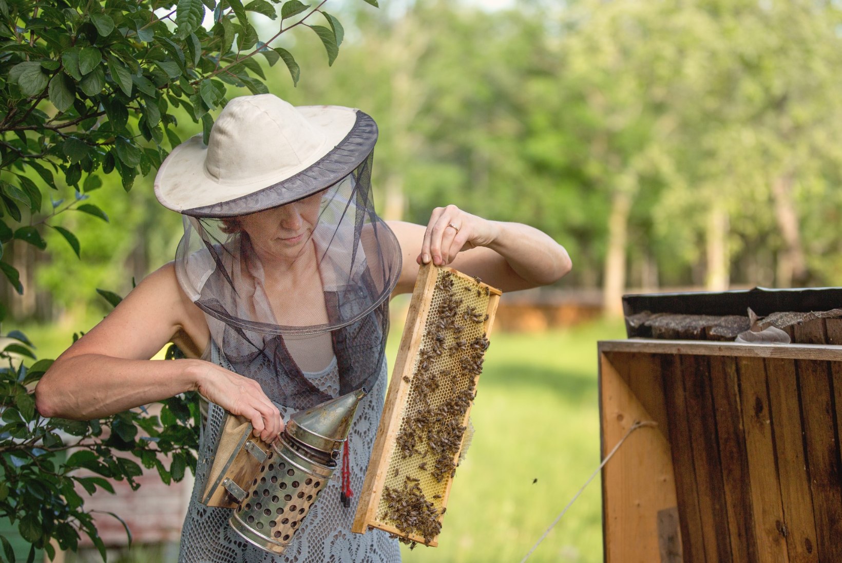 Mesinik Krista Kivisalu: mesilinde ei pea sugugi päriseks võtma – neid saab endale ka rentida!