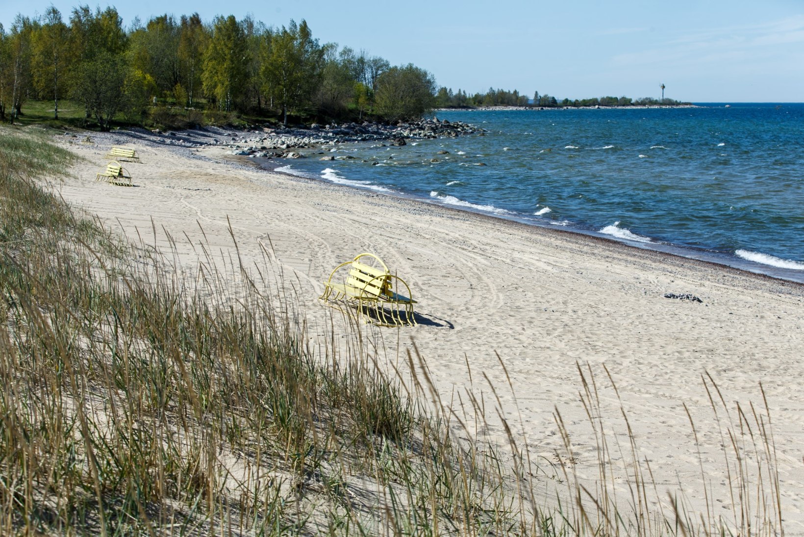 SINIVETIKAD LÄHENEVAD: tuule suuna muutus võib mürgise vetika Eesti randadesse tuua