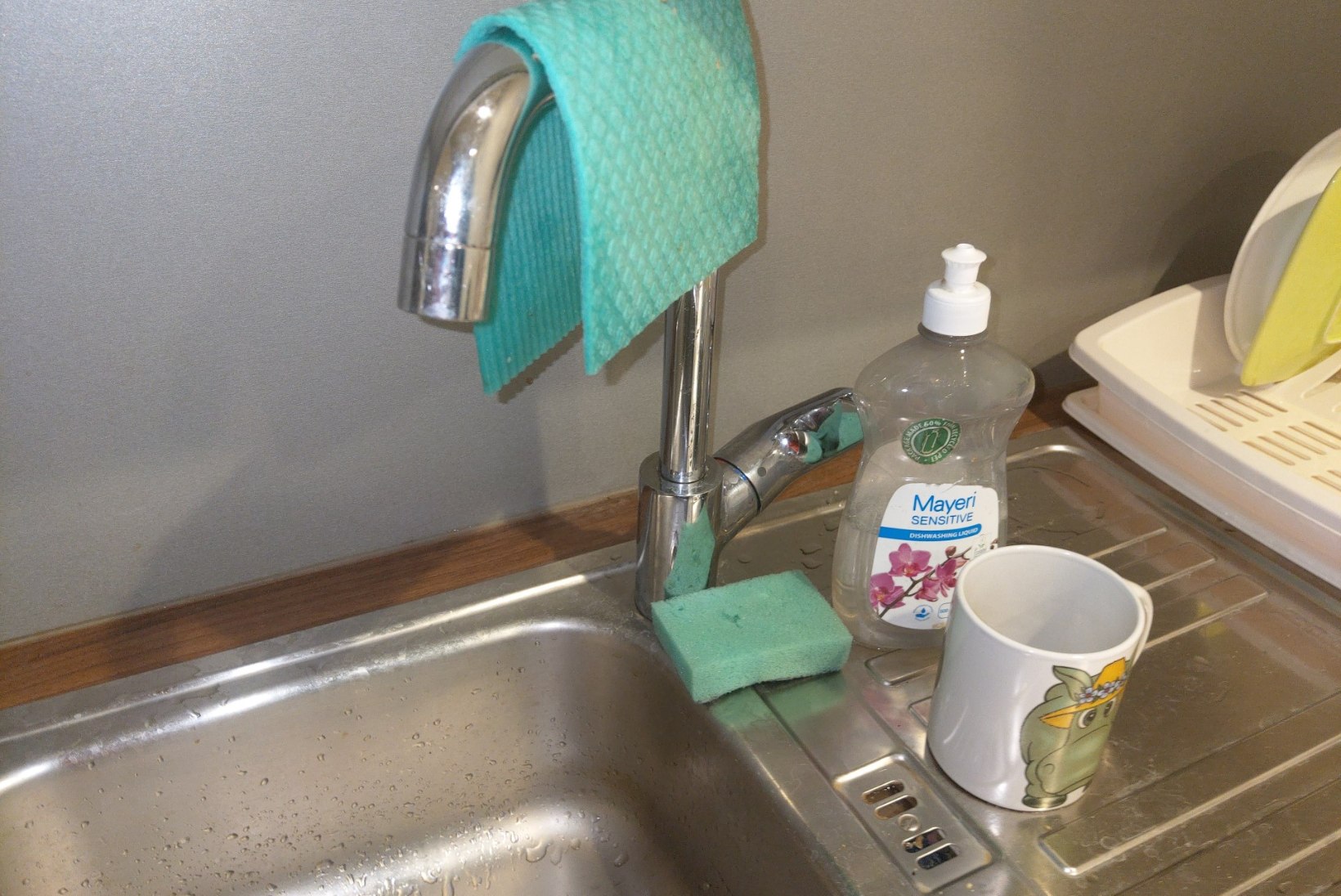 TIPPKOKK ÜTLEB SÕPRUSE ÜLES: kui paned laualapi kraani otsa ja köögirätiku ahju ette
