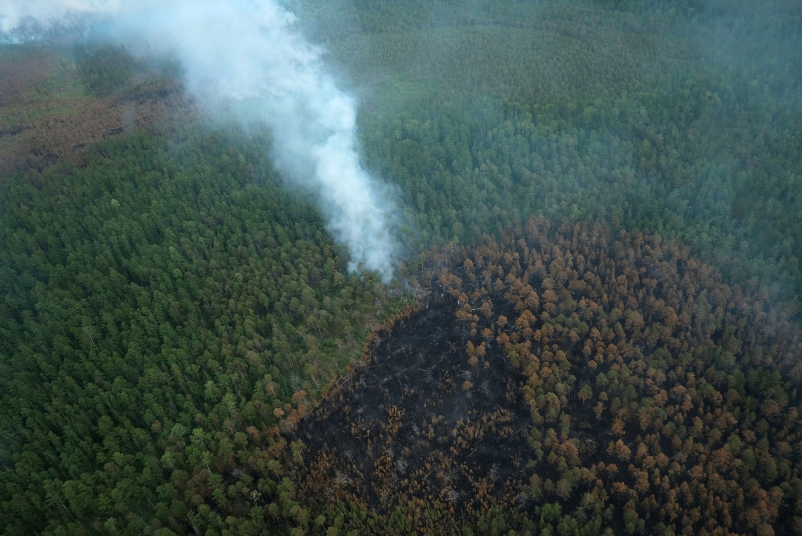 GALERII | SIBER PÕLEB: tulekahjud hävitavad kümneid tuhandeid ruutkilomeetreid loodust