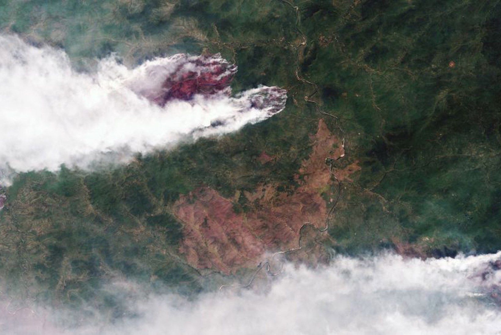 GALERII | SIBER PÕLEB: tulekahjud hävitavad kümneid tuhandeid ruutkilomeetreid loodust