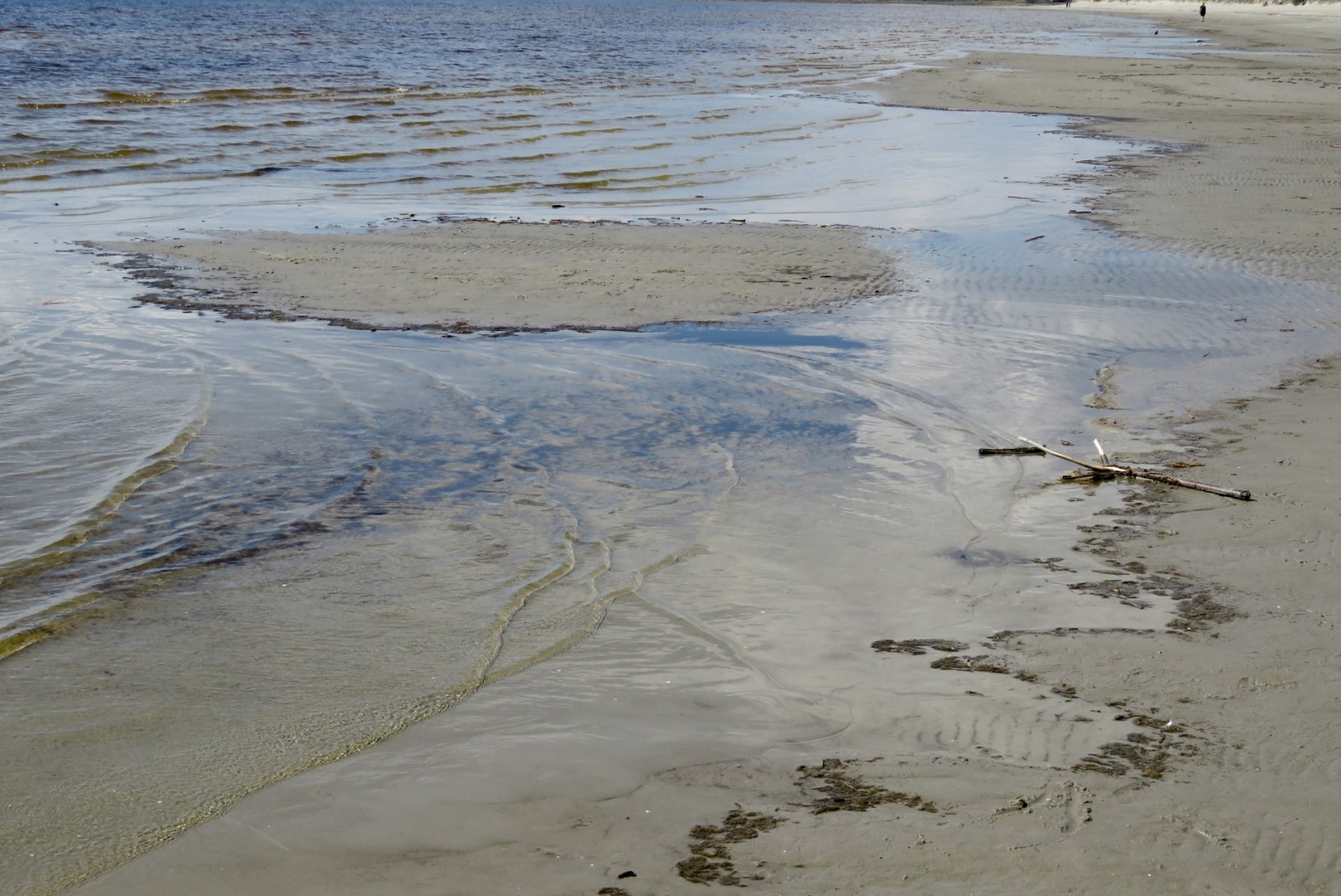HOIATUS: Pärnu rannast leiti sinivetikaid