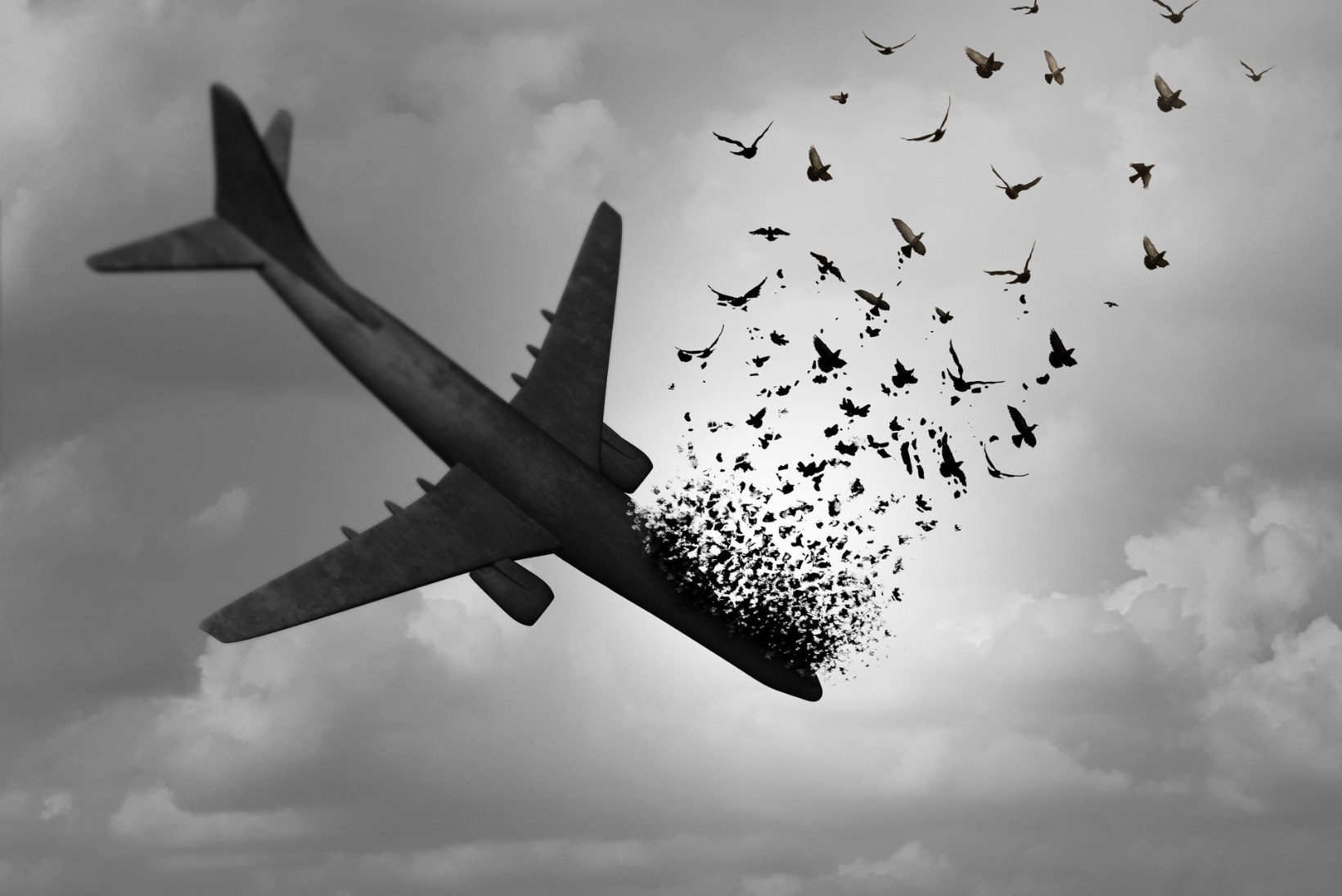 Linnurünnakud lennukitele on põhjustanud paljude inimeste hukkumist