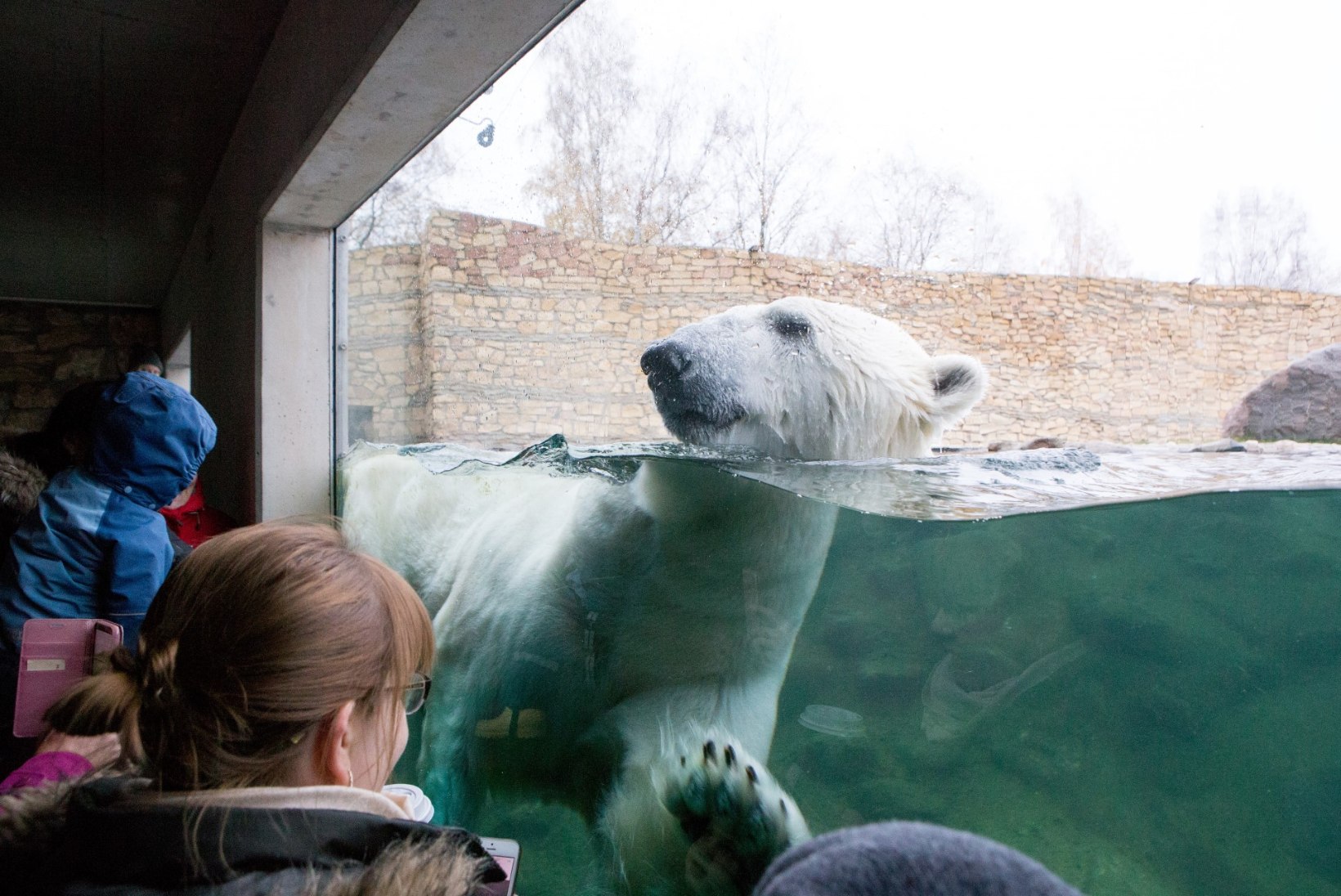 Tallinna loomaaed süüdistab Eesti Ekspressi nende halvustamises
