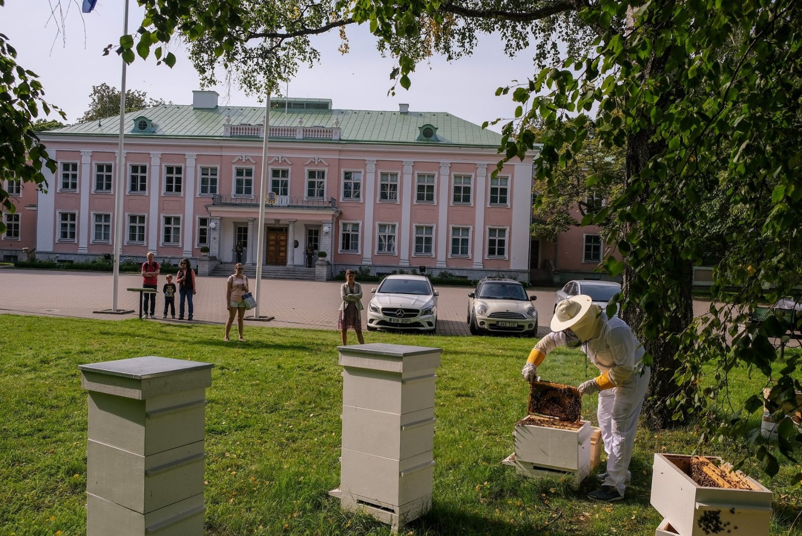 Presidendi mesitarudest saadi 119 kilo mett
