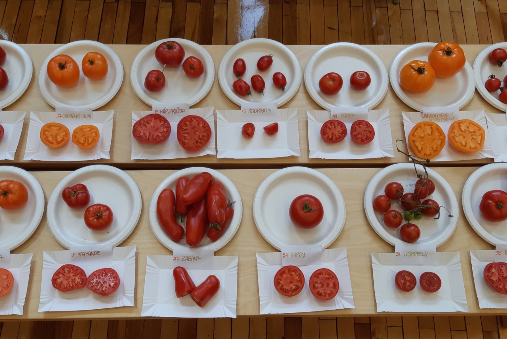 TOMATID VÄLJANÄITUSEL: ettevõtlik Võrumaa naine pani ritta 47 erinevat tomatisorti