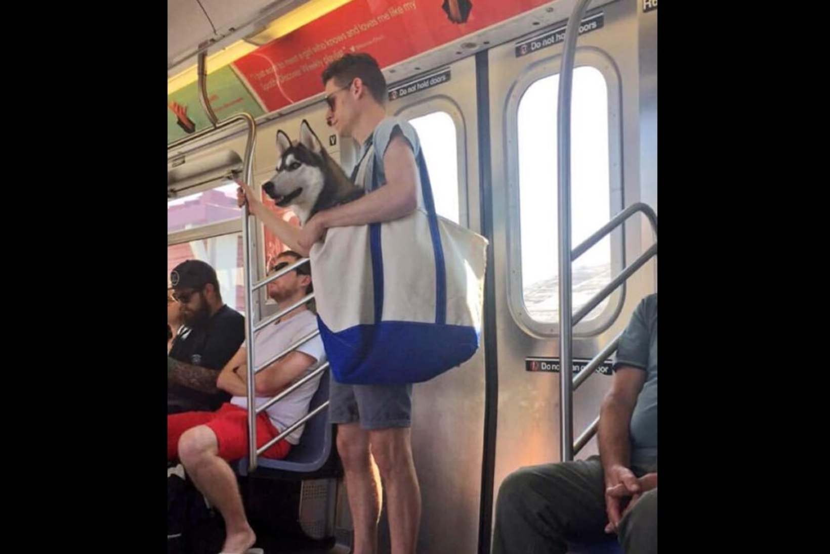 FOTOD | New Yorgi metroo keelas koerad, kes ei mahu kotti ära, rahvas leidis aga lahenduse