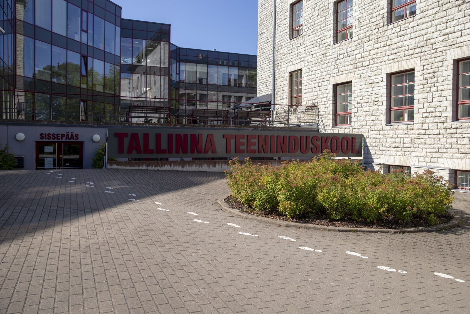 UUS AEG, UUED ÕPPEAINED: Tallinna teeninduskool avas veganikokkade eriala