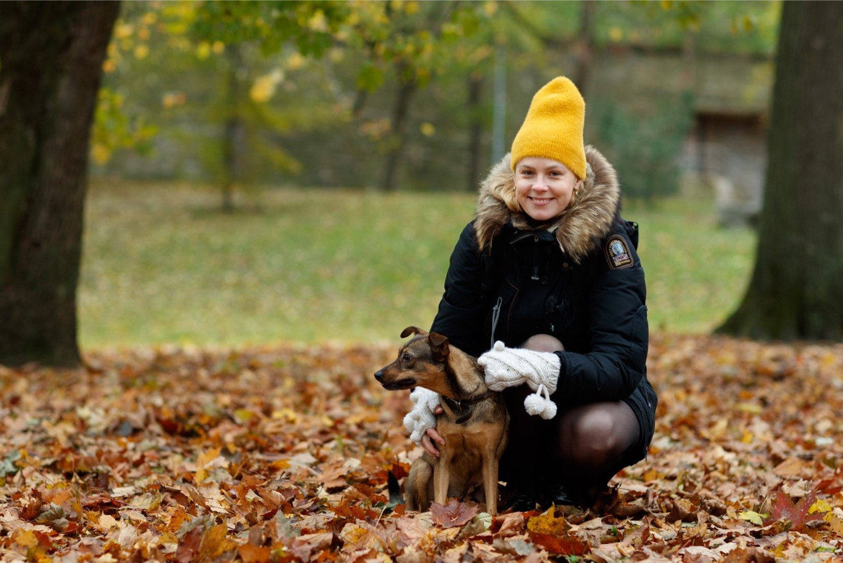 FOTO | Vaata, millise koerustükiga Katrin Lusti lemmik hakkama sai!