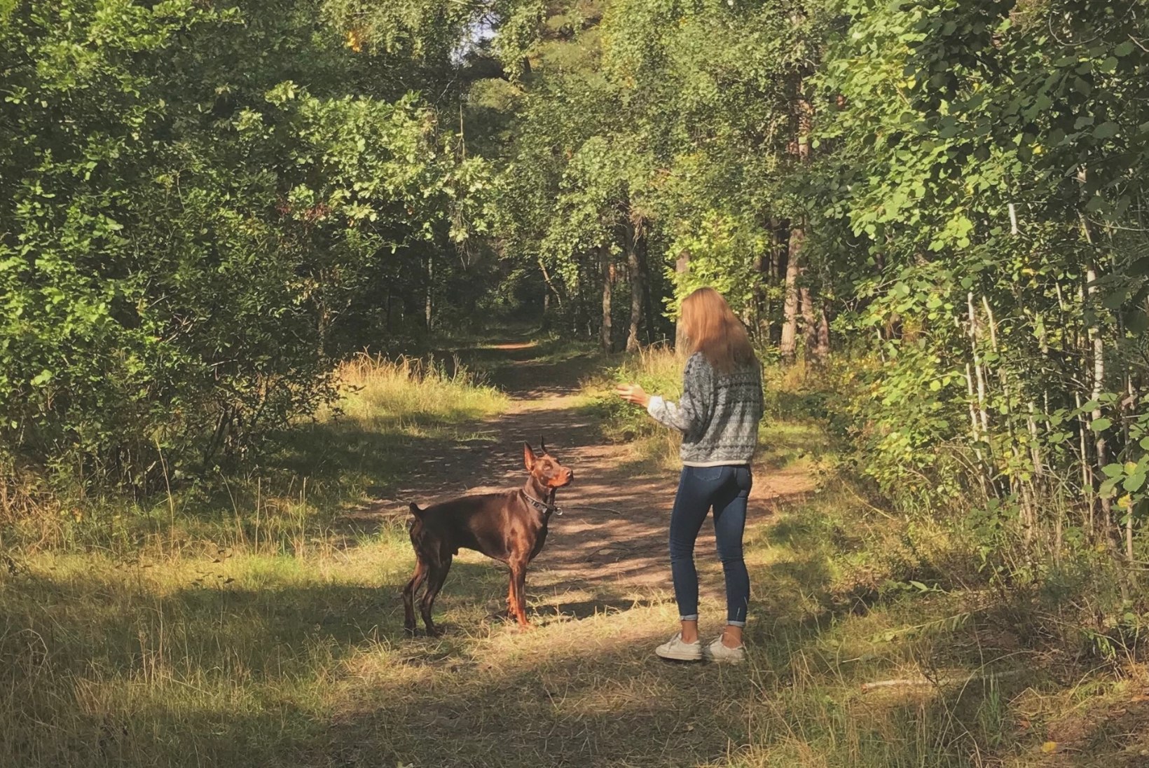 Eestis tegutsevad koerahoidjad, kes hoiavad lemmikut sama hoolega kui last