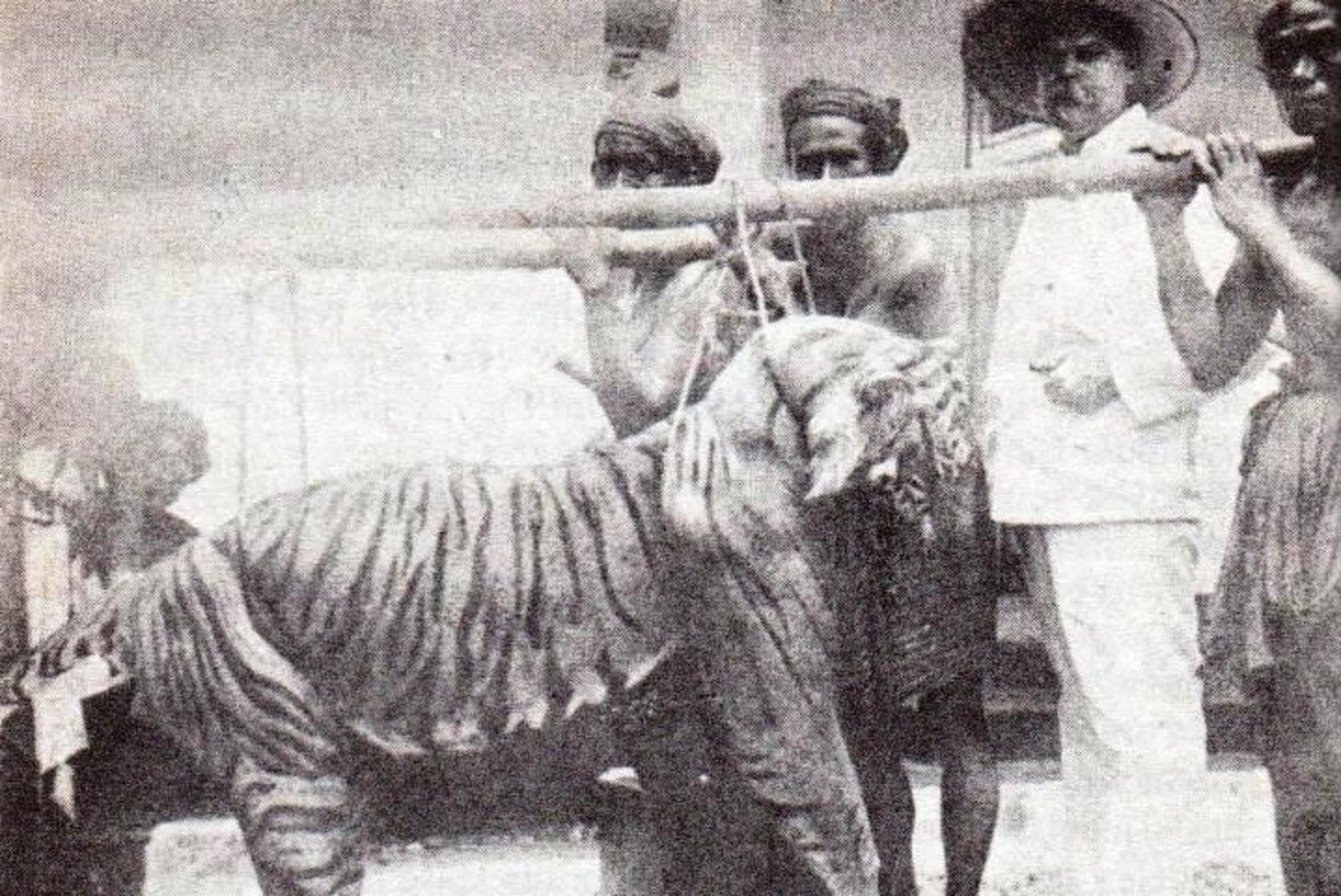 MINEVIKUHETK | 27. september: jahimees tappis maailma viimase Bali tiigri