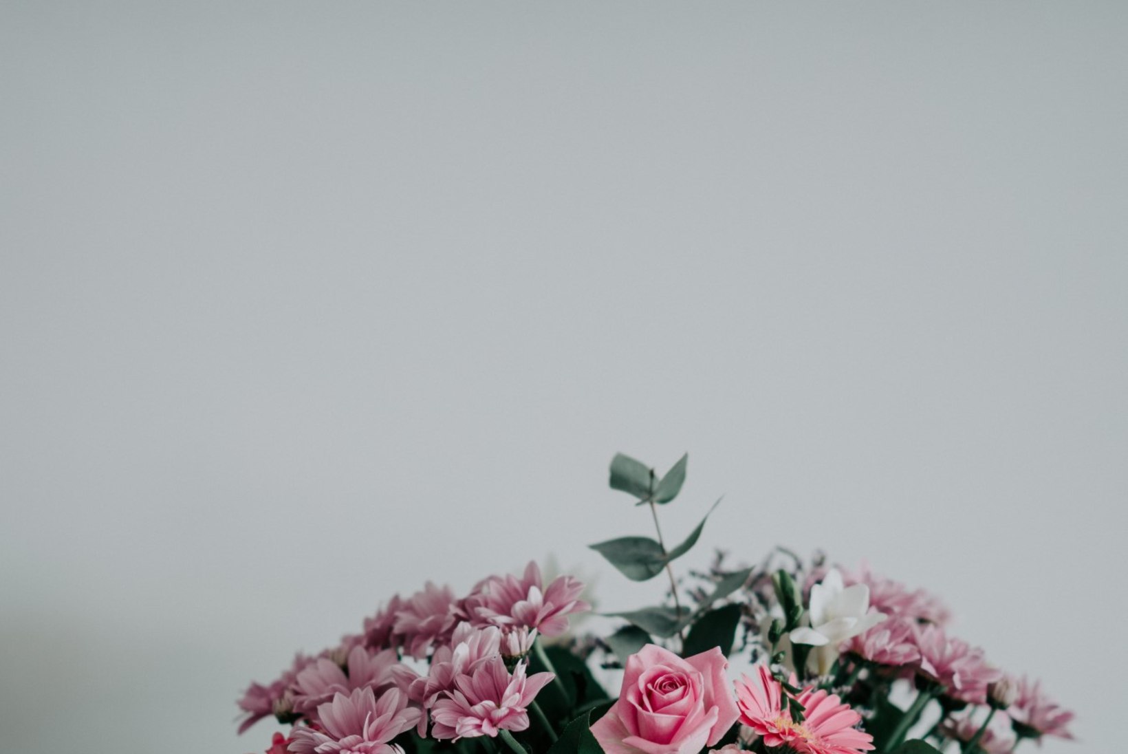 9 kaunist ideed, kuidas sättida kingituseks toodud lilled