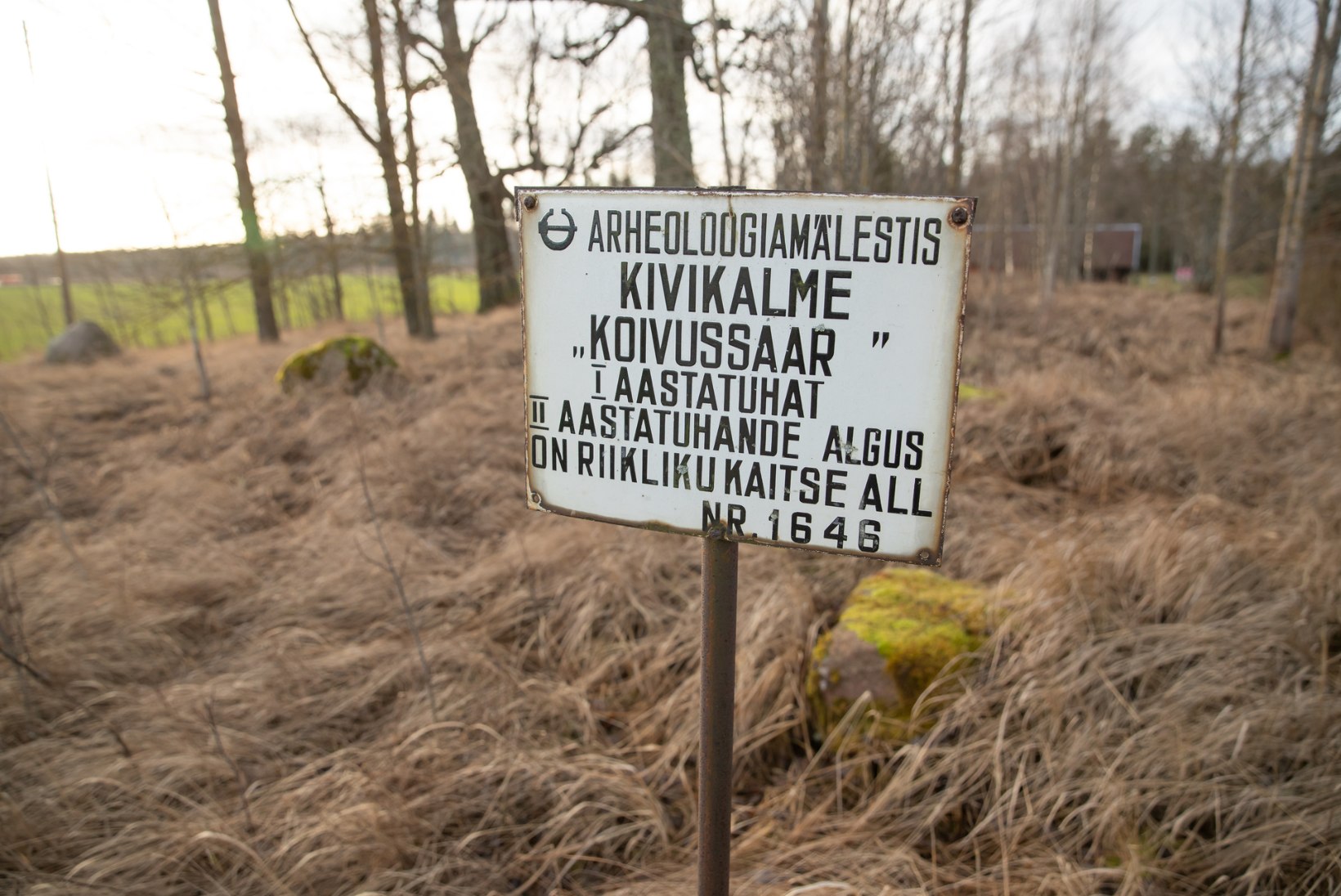 Aardeid aeti taga kõikjal Eestis, et kulda pihku ja hõbedat hõlma alla pitsitada  