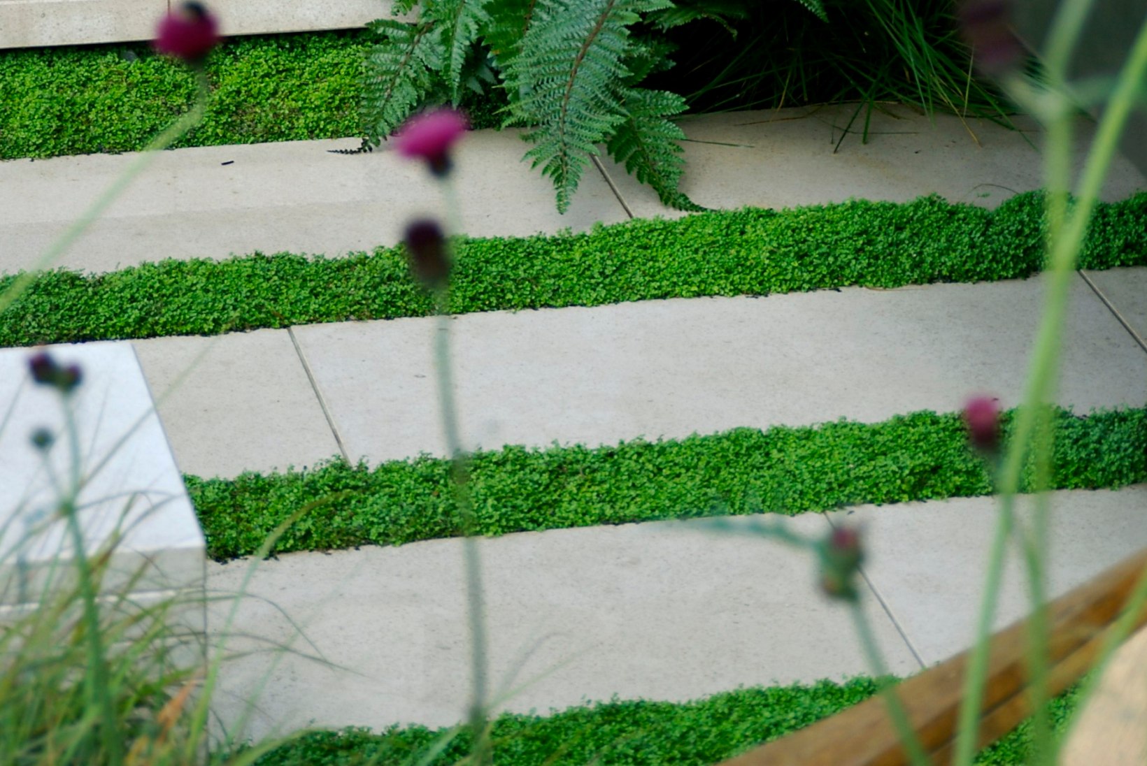 Inspireerivad aiateed: erinevad mustrid ja materjalid lisavad aiale isikupära