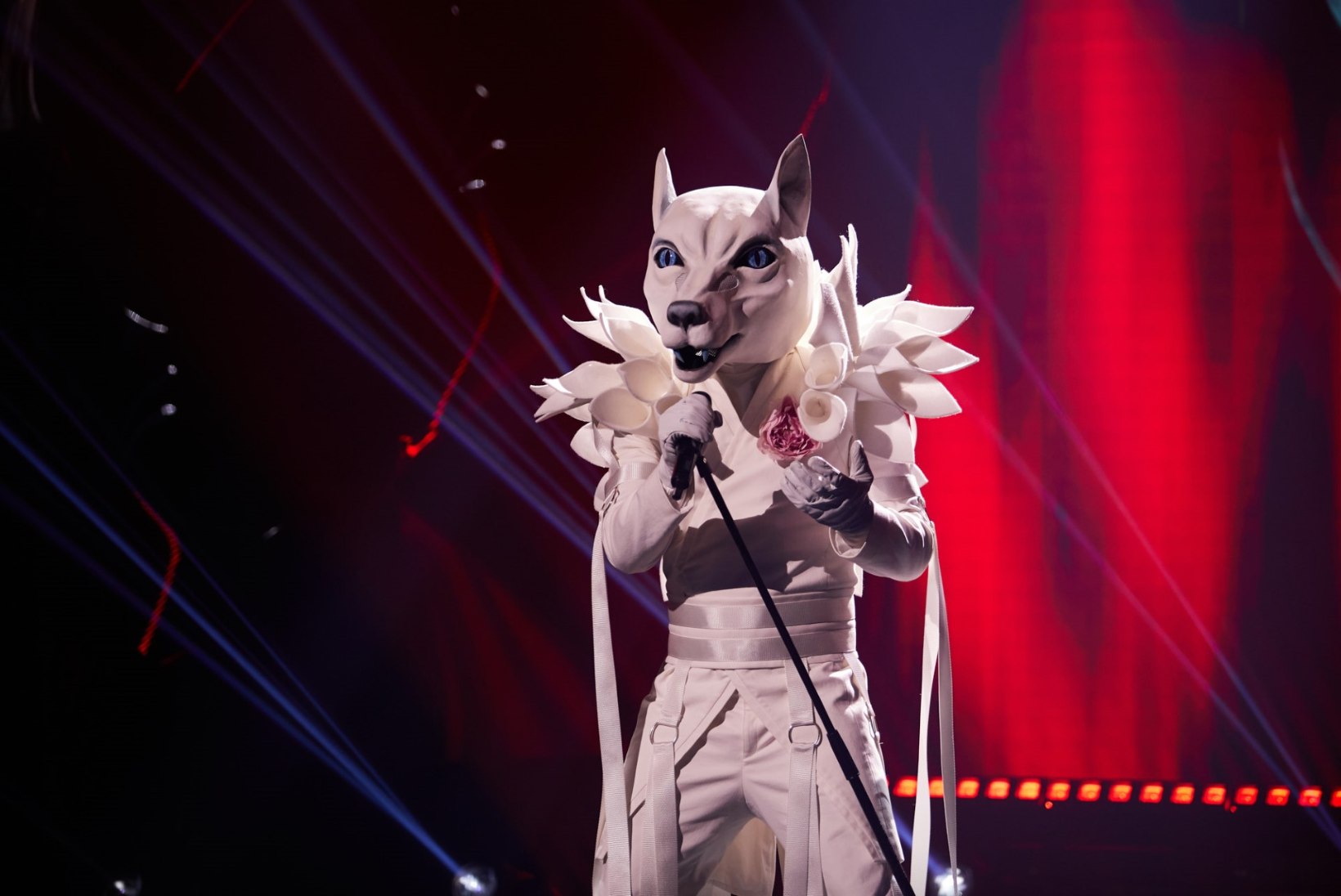 RAHVAS ARVAB | „Maskis laulja“ Polaarhundi kostüümis peidab end Mikk Saar, Draakon on Kirsti Timmer