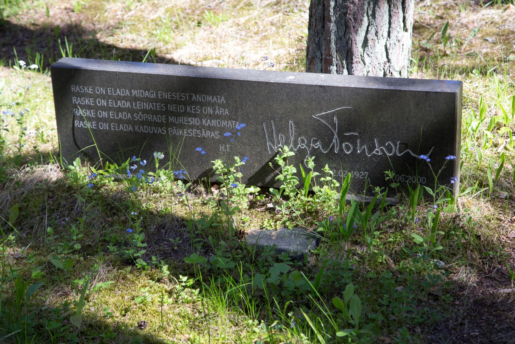 Voldemar Kuslapi kalmukolumn | Teenekad inimesed Metsakalmistul